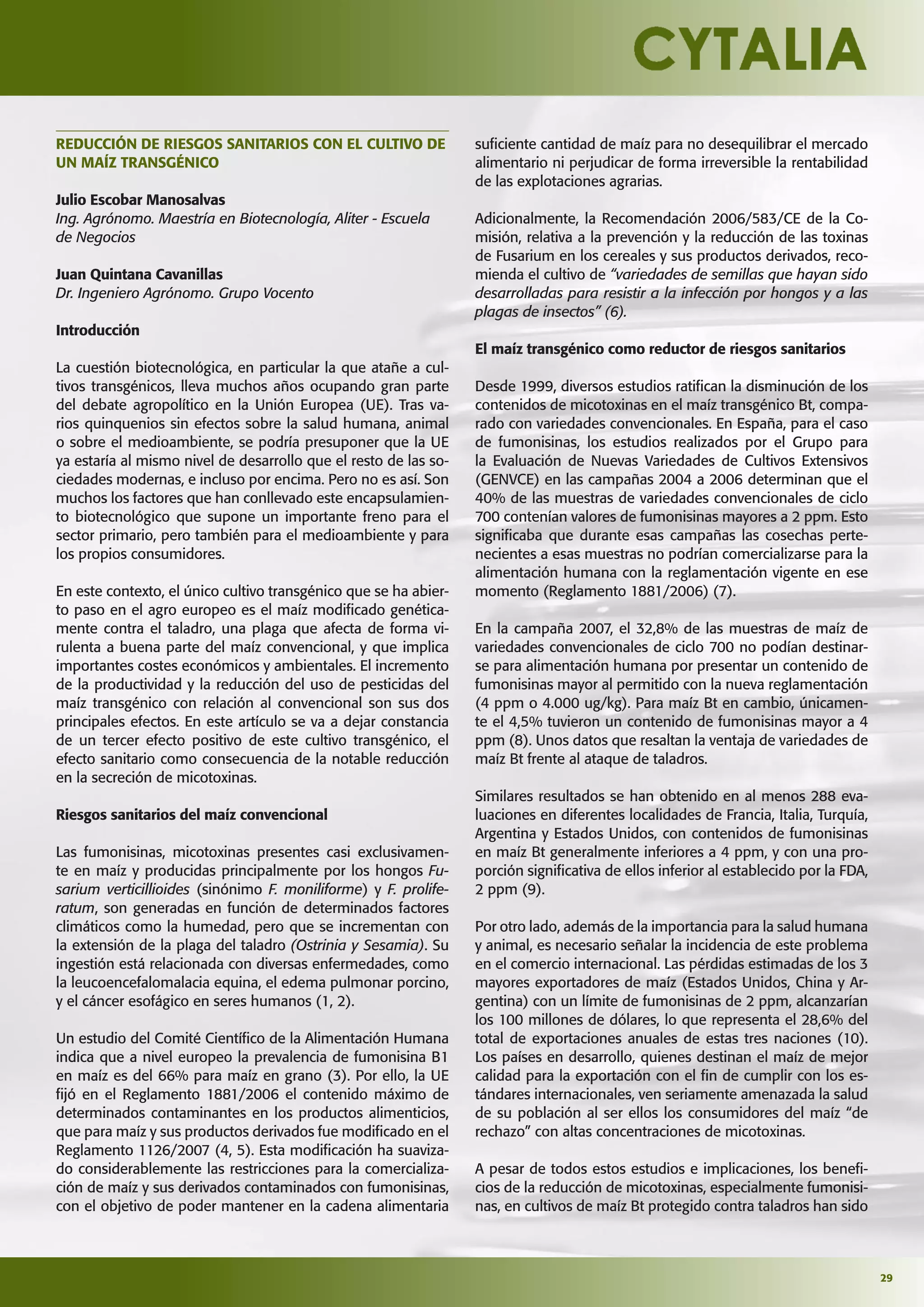 29
REDUCCIÓN DE RIESGOS SANITARIOS CON EL CULTIVO DE
UN MAÍZ TRANSGÉNICO
Julio Escobar Manosalvas
Ing. Agrónomo. Maestría en Biotecnología, Aliter - Escuela
de Negocios
Juan Quintana Cavanillas
Dr. Ingeniero Agrónomo. Grupo Vocento
Introducción
La cuestión biotecnológica, en particular la que atañe a cul-
tivos transgénicos, lleva muchos años ocupando gran parte
del debate agropolítico en la Unión Europea (UE). Tras va-
rios quinquenios sin efectos sobre la salud humana, animal
o sobre el medioambiente, se podría presuponer que la UE
ya estaría al mismo nivel de desarrollo que el resto de las so-
ciedades modernas, e incluso por encima. Pero no es así. Son
muchos los factores que han conllevado este encapsulamien-
to biotecnológico que supone un importante freno para el
sector primario, pero también para el medioambiente y para
los propios consumidores.
En este contexto, el único cultivo transgénico que se ha abier-
to paso en el agro europeo es el maíz modiﬁcado genética-
mente contra el taladro, una plaga que afecta de forma vi-
rulenta a buena parte del maíz convencional, y que implica
importantes costes económicos y ambientales. El incremento
de la productividad y la reducción del uso de pesticidas del
maíz transgénico con relación al convencional son sus dos
principales efectos. En este artículo se va a dejar constancia
de un tercer efecto positivo de este cultivo transgénico, el
efecto sanitario como consecuencia de la notable reducción
en la secreción de micotoxinas.
Riesgos sanitarios del maíz convencional
Las fumonisinas, micotoxinas presentes casi exclusivamen-
te en maíz y producidas principalmente por los hongos Fu-
sarium verticillioides (sinónimo F. moniliforme) y F. prolife-
ratum, son generadas en función de determinados factores
climáticos como la humedad, pero que se incrementan con
la extensión de la plaga del taladro (Ostrinia y Sesamia). Su
ingestión está relacionada con diversas enfermedades, como
la leucoencefalomalacia equina, el edema pulmonar porcino,
y el cáncer esofágico en seres humanos (1, 2).
Un estudio del Comité Cientíﬁco de la Alimentación Humana
indica que a nivel europeo la prevalencia de fumonisina B1
en maíz es del 66% para maíz en grano (3). Por ello, la UE
ﬁjó en el Reglamento 1881/2006 el contenido máximo de
determinados contaminantes en los productos alimenticios,
que para maíz y sus productos derivados fue modiﬁcado en el
Reglamento 1126/2007 (4, 5). Esta modiﬁcación ha suaviza-
do considerablemente las restricciones para la comercializa-
ción de maíz y sus derivados contaminados con fumonisinas,
con el objetivo de poder mantener en la cadena alimentaria
suﬁciente cantidad de maíz para no desequilibrar el mercado
alimentario ni perjudicar de forma irreversible la rentabilidad
de las explotaciones agrarias.
Adicionalmente, la Recomendación 2006/583/CE de la Co-
misión, relativa a la prevención y la reducción de las toxinas
de Fusarium en los cereales y sus productos derivados, reco-
mienda el cultivo de “variedades de semillas que hayan sido
desarrolladas para resistir a la infección por hongos y a las
plagas de insectos” (6).
El maíz transgénico como reductor de riesgos sanitarios
Desde 1999, diversos estudios ratiﬁcan la disminución de los
contenidos de micotoxinas en el maíz transgénico Bt, compa-
rado con variedades convencionales. En España, para el caso
de fumonisinas, los estudios realizados por el Grupo para
la Evaluación de Nuevas Variedades de Cultivos Extensivos
(GENVCE) en las campañas 2004 a 2006 determinan que el
40% de las muestras de variedades convencionales de ciclo
700 contenían valores de fumonisinas mayores a 2 ppm. Esto
signiﬁcaba que durante esas campañas las cosechas perte-
necientes a esas muestras no podrían comercializarse para la
alimentación humana con la reglamentación vigente en ese
momento (Reglamento 1881/2006) (7).
En la campaña 2007, el 32,8% de las muestras de maíz de
variedades convencionales de ciclo 700 no podían destinar-
se para alimentación humana por presentar un contenido de
fumonisinas mayor al permitido con la nueva reglamentación
(4 ppm o 4.000 ug/kg). Para maíz Bt en cambio, únicamen-
te el 4,5% tuvieron un contenido de fumonisinas mayor a 4
ppm (8). Unos datos que resaltan la ventaja de variedades de
maíz Bt frente al ataque de taladros.
Similares resultados se han obtenido en al menos 288 eva-
luaciones en diferentes localidades de Francia, Italia, Turquía,
Argentina y Estados Unidos, con contenidos de fumonisinas
en maíz Bt generalmente inferiores a 4 ppm, y con una pro-
porción signiﬁcativa de ellos inferior al establecido por la FDA,
2 ppm (9).
Por otro lado, además de la importancia para la salud humana
y animal, es necesario señalar la incidencia de este problema
en el comercio internacional. Las pérdidas estimadas de los 3
mayores exportadores de maíz (Estados Unidos, China y Ar-
gentina) con un límite de fumonisinas de 2 ppm, alcanzarían
los 100 millones de dólares, lo que representa el 28,6% del
total de exportaciones anuales de estas tres naciones (10).
Los países en desarrollo, quienes destinan el maíz de mejor
calidad para la exportación con el ﬁn de cumplir con los es-
tándares internacionales, ven seriamente amenazada la salud
de su población al ser ellos los consumidores del maíz “de
rechazo” con altas concentraciones de micotoxinas.
A pesar de todos estos estudios e implicaciones, los beneﬁ-
cios de la reducción de micotoxinas, especialmente fumonisi-
nas, en cultivos de maíz Bt protegido contra taladros han sido
 