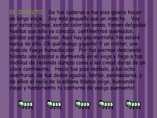 EL INSECTO De tus caderas a tus pies quiero hacer
un largo viaje. Soy más pequeño que un insecto. Voy
por estas colinas, son de color de avena, tienen delgadas
huellas que sólo yo conozco, centímetros quemados,
pálidas perspectivas. Aquí hay una montaña. No saldré
nunca de ella. Oh qué musgo gigante! Y un cráter, una
rosa de fuego humedecido! Por tus piernas desciendo
hilando una espiral o durmiendo en el viaje y llego a tus
rodillas de redonda dureza como a las cimas duras de un
claro continente. Hacia tus pies resbalo, a las ocho
aberturas, de tus dedos agudos, lentos, peninsulares, y
de ellos al vacío de la sábana blanca caigo, buscando
ciego y hambriento tu contorno de vasija quemante!
 