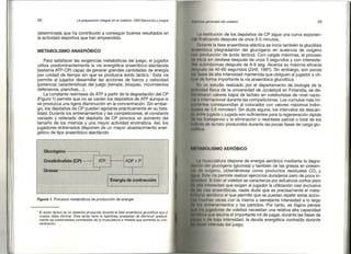 Preparacion del voleibol I