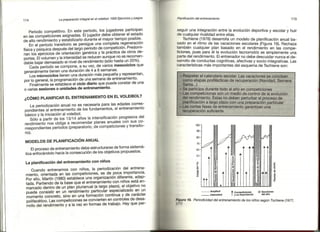 Preparacion del voleibol I