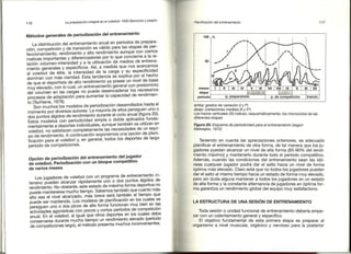 Preparacion del voleibol I