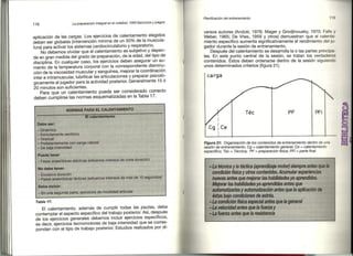 Preparacion del voleibol I