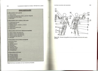 Preparacion del voleibol I