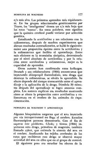 PEMOLlNA DE MAGNESIO 177
e/s más alto. Las primeras aprenden más rápidamen-
te. En los grupos seleccionados genéticamente por
Tryon, las "inteligentes" tienen un cts más bajo que
las ratas "tontas". En otras palabras, esto significa
que la química cerebral puede variarse por selección
genética.
Estudiando la acetilcolina y sus relaciones con la
colinesterasa, después de muchos experimentos que
dieron resultados contradictorios, se halló lo siguiente:
existe una proporción óptima entre la acetilcolina y
la colinesterasa que facilita el aprendizaje. Entre
más eficiente es la trasmisión sináptica, determinada
por el nivel absoluto de acetílcolina y por la rela-
ción entre acetilcolina y colinesterasa, mejor es la
capacidad de aprender.
Otros autores han confirmado estos hallazgos.
Deutsch y sus colaboradores (1966) encontraron que
inyectando diisopropil fluorofosfato, una droga que
destruye la colinesterasa, se olvida lo aprendido. Su
efecto depende del tiempo transcurrido entre el apren-
dizaje y la aplicación de la droga. Dándola 30 minu-
tos después del aprendizaje se logró amnesia com-
pleta. Los autores explican sus resultados mostrando
cómo se altera la proporción entre acetílcolina y co-
linesterasa en el cerebro de los animales de expe-
rimentación.
PEMOLlNA DE MAGNESIO Y APRENDIZAJE
Algunos bioquímicos aseguran que el RNA inyectado
por vía intraperitoneal no lleg-a al cerebro. Estudios
f1uoroscópicos parecen demostrarlo. Con el fin de
superar este problema, Glasky y Simon [1966] in-
yectaron otra droga, pemolina de magnesio, también
llamada cylert, que estimula la síntesis del RNA en
el cerebro. Analizando los tejidos cerebrales de las
ratas que recibieron esta droga se observó mayor
actividad del RNA en ellas que en el grupo de control.
El siguiente paso era estudiar los efectos de la
 