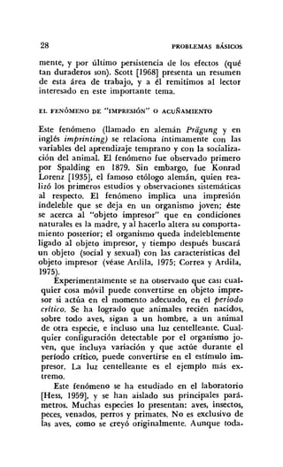 28 PROBLEMAS BÁSICOS
mente, y por último persistencia de los efectos (qué
tan duraderos son). Scott [1968] presenta un resumen
de esta área de trabajo, y a él remitimos al lector
interesado en este importante tema.
EL FENÓMENO DE "IMPRESIÓN" O ACUÑAMIENTO
Este fenómeno (llamado en alemán Priigung y en
inglés imprinting) se relaciona íntimamente con las
variables del aprendizaje temprano y con la socializa-
ción del animal. El fenómeno fue observado primero
por Spalding en 1879. Sin embargo, fue Konrad
Lorenz [1935], el famoso etólogo alemán, quien rea-
lizó los primeros estudios y observaciones sistemáticas
al respecto. El fenómeno implica una impresión
indeleble que se deja en un organismo joven; éste
se acerca al "objeto impresor" que en condiciones
naturales es la madre, y al hacerlo altera su comporta-
miento posterior; el organismo queda indeleblemente
ligado al objeto impresor, y tiempo después buscará
un objeto (social y sexual) con las características del
objeto impresor (véase Ardila, 1975; Correa y Ardila,
1975).
Experimentalmente se ha observado que casi cual-
quier cosa móvil puede convertirse en objeto impre-
sor si actúa en el momento adecuado, en el período
crítico. Se ha logrado que animales recién nacidos,
sobre todo aves, sigan a un hombre, a un animal
de otra especie, e incluso una luz centelleante. Cual-
quier configuración detectable por el organismo jo-
ven, que incluya variación y que actúe durante el
período crítico, puede convertirse en el estímulo im-
presor. La luz centelleante es el ejemplo más ex-
tremo.
Este fenómeno se ha estudiado en el laboratorio
[Hess, 1959], y se han aislado sus principales pará-
metros. Muchas especies lo presentan: aves, insectos,
peces, venados, perros y primates. No es exclusivo de
las aves, como se creyó originalmente. Aunque toda-
 