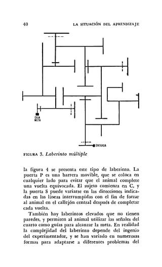 40 LA SITUACIÓN DEL APRENDIZAJE
_ _ o
--
-... I I I
I
I I I
I
I
I
r
..
- f-
I I
.r I
I
CAJA _1.-
META
I_o
--
ENTRADA
FIGURA 3. Laberinto múltiple
la figura 4 se presenta este tipo de laberinto. La
puerta P es una barrera movible, que se coloca en
cualquier lado para evitar que el animal complete
una vuelta equivocada. El sujeto comienza en e, y
la puerta S puede variarse en las direcciones indica-
das en las líneas interrumpidas con el fin de forzar
al animal en el callejón. central después de completar
cada vuelta.
También hay laberintos elevados que no tienen
paredes, y permiten al animal utilizar las señales del
cuarto como guías para alcanzar la meta. En realidad
la complejidad del laberinto depende del ingenio
del experimentador, y se han variado en numerosas
formas para adaptarse a diferentes problemas del
 