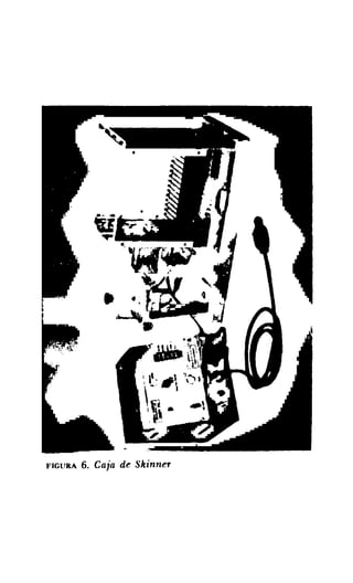 FIGURA 6. Caja de Skinner
 