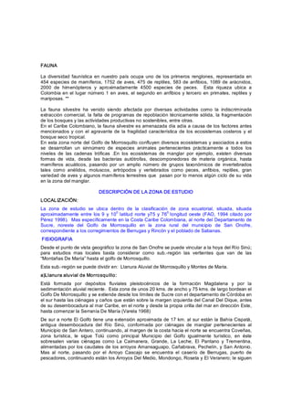FAUNA 

La  diversidad  faunística  en  nuestro  país  ocupa  uno  de  los  primeros  renglones,  representada  en 
454 especies de  mamíferos,  1752  de aves, 475  de  reptiles,  583 de  anfibios,  1089 de  arácnidos, 
2000  de  himenópteros  y  aproximadamente  4500  especies  de  peces.    Esta  riqueza  ubica  a 
Colombia en el lugar  número 1 en  aves,  el segundo en  anfibios  y  tercero  en primates, reptiles  y 
mariposas. ** 

La  fauna  silvestre  ha  venido  siendo  afectada  por  diversas  actividades  como  la  indiscriminada 
extracción comercial,  la falta  de programas de  repoblación técnicamente sólida,  la  fragmentación 
de los bosques y las actividades productivas no sostenibles, entre otras. 
En el Caribe Colombiano, la fauna silvestre es amenazada día adía a causa de los factores antes 
mencionados  y  con  el  agravante  de  la  fragilidad  característica  de  los  ecosistemas  costeros  y  el 
bosque seco tropical. 
En esta zona norte del Golfo de Morrosquillo confluyen diversos ecosistemas y asociados a estos 
se  desarrollan  un  sinnúmero  de  especies  animales  pertenecientes  prácticamente  a  todos  los 
niveles  de  las  cadenas  tróficas  .En  los  ecosistemas  de  manglar  por  ejemplo,  existen  diversas 
formas  de  vida,  desde  las  bacterias  autótrofas,  descomponedoras  de  materia  orgánica,  hasta 
mamíferos  acuáticos,  pasando  por  un  amplio  número  de  grupos  taxonómicos  de  invertebrados 
tales  como  anélidos,  moluscos,  artrópodos  y  vertebrados  como  peces,  anfibios,  reptiles,  gran 
variedad de aves y algunos mamíferos terrestres que  pasan por lo menos algún ciclo de su vida 
en la zona del manglar. 

                              DESCRIPCIÓN DE LA ZONA DE ESTUDIO 
LOCAL IZACIÓN: 
La  zona  de  estudio  se  ubica  dentro  de  la  clasificación  de  zona  ecuatorial,  situada,  situada 
                                    0                           0 
aproximadamente  entre  los 9  y  10  latitud  norte  y75  y  76  longitud  oeste  (FAO,  1994  citado por 
Pérez 1998).  Mas específicamente en la Costa Caribe Colombiana, al norte del Departamento de 
Sucre,  noreste  del  Golfo  de  Morrosquillo  en  la  zona  rural  del  municipio  de  San  Onofre, 
correspondiente a los corregimientos de Berrugas y Rincón y el poblado de Sabanas. 
FISIOGRAFIA 
Desde el punto de vista geográfico la zona de San Onofre se puede vincular a la hoya del Río Sinú; 
para  estudios  mas  locales  basta  considerar  como  sub.­región  las  vertientes  que  van  de  las 
“Montañas De María” hasta el golfo de Morrosquillo. 
Esta sub.­región se puede dividir en:  Llanura Aluvial de Morrosquillo y Montes de Maria. 
a)Llanura aluvial de Morrosquillo: 
Está  formada  por  depósitos  fluviales  pleistocénicos  de  la  formación  Magdalena  y  por  la 
sedimentación aluvial reciente.  Esta zona de unos 20 kms. de ancho y 75 kms. de largo bordean el 
Golfo De Morrosquillo y se extiende desde los límites de Sucre con el departamento de Córdoba en 
el sur hasta las ciénagas y caños que están sobre la margen izquierda del Canal Del Dique, antes 
de su desembocadura al mar Caribe, en el norte y desde la propia orilla del mar en dirección Este, 
hasta comenzar la Serranía De María (Varela 1968) 
De sur a norte El Golfo tiene una extensión aproximada de 17 km. al sur están la Bahía Cispatá, 
antigua  desembocadura  del  Río  Sinú,  conformada  por  ciénagas  de  manglar  pertenecientes  al 
Municipio de San Antero, continuando, al margen de la costa hacia el norte se encuentra Coveñas, 
zona  turística,  le  sigue  Tolú  como  principal  Municipio  del  Golfo  igualmente  turístico,  en  éste 
sobresalen  varias  ciénagas  como  La  Caimanera,  Grande,  La  Leche,  El  Pantano  y  Trementina, 
alimentadas por los caudales de los arroyos Amansaguapo, Cañabrava, Pechelín, y San Antonio. 
Mas  al  norte,  pasando  por  el  Arroyo  Cascajo  se  encuentra  el  caserío  de  Berrugas,  puerto  de 
pescadores, continuando están los Arroyos Del Medio, Mondongo, Roseta y El Veranero; le siguen
 