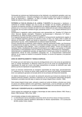 Compuesta por potreros que históricamente se han dedicado a la explotación ganadera, pero que 
por sus características y  ubicación estratégica como área de unión entre la zona de manglar y el 
eneal,  se  clausuraron  y    estableció    en  ellos  un  corredor  biológico  que  facilite  la  circulación  y 
hábitat de la fauna y flora nativa de la región. 

POTRERO LA YUCA EL B OLSILLO, EL JUNCAL  Y GAVIOTA. Se clausuraron y  destinaron  a 
conformar  el  corredor  biológico  que  une  la  zona  de  manglar  con  los  eneales,  permitiendo  la 
circulación de especies animales y el repoblamiento de especies vegetales nativas. En general son 
potreros con un muy buen inventario de pasto de menor calidad pero de gran cobertura (Braquiaria 
humidicola), de muy buena cantidad de agua, pendientes entre 0 – 5 % y ninguna afectación por la 
erosión. 
Actualmente  la  vegetación  nativa  predominante  esta  representada  por:  Schellea  S.P  (Palma  de 
Vino),  Sterculia  Apetala  (Camajón),  Pditadeima  sp.(Guacamayo)  y  Birsonyma  S.P  (Noro)  , 
Enterolobium sp. (Piñón de Oreja), guazuma sp. guácimo. 
En el segundo semestre del año en curso se realizará un enriquecimiento repoblamiento vegetal, el 
cual  se  realizará  siguiendo  patrones  de  siembra  al azar;  es  decir,  sin  ningún  orden  ni  patrón  de 
siembra por densidad,   método que facilita  la restauración  y  restitución del bosque seco tropical, 
dominante en la zona.  Dicho redoblamiento se enfocara desde tres frentes. 
Primero intensificando la población nativa existente, segundo sembrando frutales, que favorezcan 
el establecimiento de pájaros, mamíferos y controladores biológico naturales; con árboles especies 
como el manguífera  indica  (Mango),   Icaco y spondias mombin  (Hobo). Tercero con árboles que 
contengan flores y facilitadores de procesos de polinización en la región y que aporten un impacto 
visual positivo a nivel paisajístico como el Tabeuia sp (Guayacán) y Pterocarpus sp.( Sangregao). 
Adicionalmente se establecerán parcelas de seguimiento y control para evaluar la evolución de la 
regeneración  natural  de  dicho  ecosistema  comparada  con    el  enriquecimiento  anteriormente 
descrito, en los cuales se medirán la composición florística, el número de especies y los patrones 
de crecimiento. 

ZONA DE AMORTIGUAMIENTO Y MANEJO ESPECIAL 

El manejo que se le dará tanto a las zonas de amortiguamiento como a las zonas de agrosistemas 
será  un  manejo  silvopastoril,  la  diferencia  radica  en  que  en  las  zonas  de  amortiguamiento  las 
capacidades  de  carga  son  mucho  más  bajas  (actualmente  en  proceso  de  definición  para  cada 
potrero) que las de explotación de agrosistemas). 

Como  se  menciono  anteriormente  se  manejaran  capacidades  de  carga  bajas,  aproximadamente 
0.7 cabezas  por  Ha, mientras se  tienen datos exactos  por  potrero que permitan  verdaderamente 
tener una explotación ganadera enmarcada dentro de los principios del Desarrollo Sostenible. 

Un  sistema silvopastoril,  es una opción de producción  pecuaria que  involucra la presencia de  las 
arbóreas perennes (arboles y arbustos) e interactúa con los componentes tradicionales (forrajeras 
herbáceas y animales) todo ello bajo un sistema de manejo integral (Pezo e ibrahim, 1996) 

Este manejo integral incluye suelo, subsuelo y espacio por parte de árboles y arbustos que crecen 
en asocio con plantas rastreras como gramíneas y leguminosas, y de los animales que estén allí 
pastoreando lo cual conlleva a un provecho económico y ecológico de la producción agropecuaria. 

VENTAJAS Y DESVENTAJ AS DE LA AGROFORESTERIA 

Varios autores han analizado las ventajas y desventajas de tales sistemas (Botero 1995, Russo y 
Botero 1996, Bonstein 1983 y Ruiz 1983) 

Las principales ventajas de estos sistemas son:
¨ La diversificación de las actividades productivas dentro de la finca reduce el riesgo económico
¨ Los productores  obtienen beneficios  adicionales  en efectivo  representados    en la  producción 
    de leña, postes, frutos, madera.
 