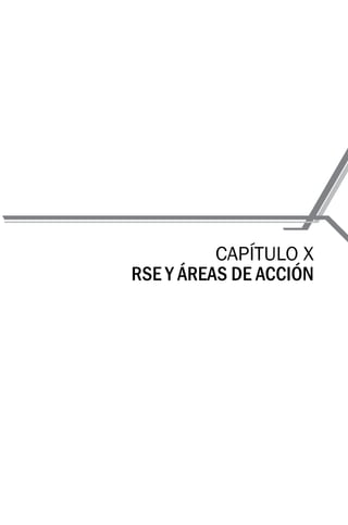 CAPÍTULO X
RSE Y ÁREAS DE ACCIÓN
 