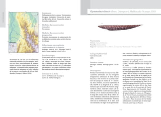 224 225
CasiAmenazada
ductividad de 116-155 µS. El exámen del
contenido estomacal de un ejemplar, mos-
tró una dieta principalmente de inverte-
brados acuáticos, especialmente larvas de
odonatos. La longitud total máxima regis-
trada hasta el momento es la del holotipo
de la especie, una hembra de 43 cm (Mal-
donado-Ocampo y Albert 2004).
Amenazas
Deforestación de la cuenca. Vertimientos
de aguas residuales. Extracción de mate-
rial del lecho del río. Desarrollo urbano y
densidad poblacional.
Medidas de conservación
tomadas
No existen.
Medidas de conservación
propuestas
Se deben incrementar la conservación de
su hábitat y estudios sobre su distribución
y ecología.
Colecciones con registros
confirmados de la especie
Holotipo IAvH-P 3477. Paratipo IAvH-P
4001. Otras: IAvH-P 11510, 11511.
Localidad tipo
La localidad tipo es el río de Oro (07°02’N-
73°17’W, 07°06’N-73°17’W), cuenca del
río Lebrija, municipio de Girón, Santan-
der, Colombia. Hasta la fecha sólo han
sido colectadas en este río, 12 individuos
adicionales a los cuatro individuos sobre
los cuales se basó la descripción original.
Autores de la ficha
Javier A. Maldonado-Ocampo y
Carlos A. Ardila-Rodríguez
Taxonomía
Orden: Gymnotiformes
Familia: Gymnotidae
Especie: Gymnotus choco Albert, Crampton y Maldonado-Ocampo 2003
Gymnotus choco Albert, Crampton y Maldonado-Ocampo 2003
Categoría Nacional
Casi Amenazada
(NT)
Nombre común
Beringo culebra, beringo perro, cuchi-
llo.
Descripción
Bandas transversales claras y oscuras obli-
cuamente orientadas con sus márgenes
irregulares y ondulados; de éstas bandas
hay una a tres oscuras en la parte poste-
rior del cuerpo en forma de “Y” inverti-
da; boca estrecha, su ancho representa el
28,3-29,7% en la longitud de la cabeza;
distancia pre-anal 76,7-90,7% en la longi-
tud de la cabeza. Color del cuerpo café os-
curo dorsalmente a café claro en su parte
ventral; 21-22 bandas amarillas-claras a
lo largo del cuerpo; color de la cabeza os-
curo sin bandas; radios de la aleta pectoral
cafés, membranas interradiales hialinas;
color de las membranas de la aleta anal
con variación, de negro en su parte ante-
rior, café en el medio y transparente en la
parte terminal (Albert y Crampton 2003).
Distribución geográfica
Endémica de Colombia, en las cuencas del
Caribe y Pacífico (Maldonado-Ocampo et
al. 2008).
Subcuencas: Caribe (Atrato) y Pacífico
(varios ríos). Esta especie se distribuye en
la zona hidrogeográfica del Caribe, en la
cuenca del río Atrato; se tienen registros
en la parte baja y alta de la cuenca en el
río Truandó en el municipio de Río Sucio;
quebrada Piscindé, río San Pablo y en el
río Atrato en el municipio de Yuto. En la
zona hidrogeográfica del Pacífico se tienen
registros para la cuenca del río San Juan
en su parte alta en el municipio de Puerto
Rico, departamento de Risaralda. Igual-
mente se tienen registros en las quebradas
de la parte baja de la cuenca en el Resguar-
do de Puerto Pizario, municipio Litoral del
San Juan, departamento del Chocó (Usma
com. pers.). Para la cuenca del río Baudó,
además de la localidad tipo se tiene regis-
tro en la parte baja en Pizarro.
 