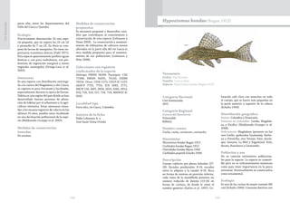 228 229
CasiAmenazada
parte alta, entre los departamentos del
Valle del Cauca y Quindío.
Ecología
Prácticamente desconocida. Es una espe-
cie pequeña, que no supera los 10 cm LE
y promedio de 7 cm LE. Su dieta se com-
pone de larvas de mosquitos. No tiene im-
portancia económica directa (Dahl 1971).
Esta especie aparentemente prefiere aguas
lénticas o con poca turbulencia, con pre-
dominio de vegetación marginal y restos
vegetales sumergidos (Ortega-Lara et al.
2002).
Amenazas
Es una especie con distribución restringi-
da a la cuenca del Magdalena y alto Cauca;
su captura es poco frecuente y localizada,
especialmente durante la época de lluvias.
Habita en una región del país donde se han
desarrollado fuertes procesos de altera-
ción de hábitat por el urbanismo y la agri-
cultura intensiva. Estas amenazas suma-
das a los escasos registros de colecta en los
últimos 10 años, pueden estar incidiendo
en una declinación poblacional de la espe-
cie (Maldonado-Ocampo et al. 2005).
Medidas de conservación
tomadas
No existen.
Medidas de conservación
propuestas
Es necesario proponer y desarrollar estu-
dios que contribuyan al conocimiento y
conservación de esta especie (Lehmann y
Usma 2002). La conservación y manteni-
miento de tributarios de cabecera menos
alterados en la parte alta del río Cauca es
otra medida propuesta para el manteni-
miento de sus poblaciones (Lehmann y
Niño 2008).
 
Colecciones con registros
confirmados de la especie
Holotipo FMNH 56290. Paratipos: CAS
77396; FMNH 56291, 75150; USNM
79214. Otras: CIUA 1172; CZUT-IC 1137;
IAvH-P 7753, 7755, ICN 1693, 1771;
IMCN 118, 2497, 3004, 3255, 3265, 3913;
IUQ 718, 519, 517, 718, 719; MHNUC-IC
0163.
Localidad tipo
Parte alta, río Cauca, Colombia.
Autores de la ficha
Pablo Lehmann A. y
José Saulo Usma Oviedo
Taxonomía
Orden: Siluriformes
Familia: Loricariidae
Especie: Hypostomus hondae (Regan 1912)
Hypostomus hondae(Regan 1912)
Categoría Nacional
Casi Amenazada
(NT)
Categoría Regional
Cuenca del Ranchería
Vulnerable
B2b(iii)
Nombre común
Cucha, cucho, coroncoro, corroncho.
Sinonimias
Plecostomus hondae Regan 1912
Cochliodon hondae Regan 1912
Cheiridodus hondae Myers 1942
Cochliodon pospisili Schultz 1944
Descripción
Cuerpo cubierto por placas laterales (27-
29). Escudos predorsales: 8-10, escudos
entre la adiposa y la caudal: 8-10. Boca
en forma de ventosa en posición inferior,
cada ramo de la mandíbula presenta un
número reducido de dientes (13-16) en
forma de cuchara, de donde le viene el
nombre genérico (Galvis et al. 1997). Co-
loración café claro con manchas en todo
el cuerpo, que se hacen más pequeñas en
la parte anterior y superior de la cabeza
(Schultz 1944).
Distribución geográfica
Países: Colombia y Venezuela.
Cuencas en Colombia: Caribe, Magdale-
na y Pacífico (Maldonado-Ocampo et al.
2008).
Subcuencas: Magdalena (presente en los
ríos Coello, quebradas Gualanday, Barbo-
na y Potrerilla, ríos Tetuán, Patá, Anchi-
que, Samana, La Miel y Sogamoso). Sinú,
Atrato, Ranchería y Catatumbo.
Población y uso
No se conocen estimativos poblaciona-
les para la especie. La especie es comesti-
ble pero no es suficientemente numerosa
como para tener importancia en la pesca
artesanal. Eventualmente se comercializa
como ornamental.
Ecología
Es una de las cuchas de mayor tamaño (66
cm) (Schultz 1944). Consume detritus con
 