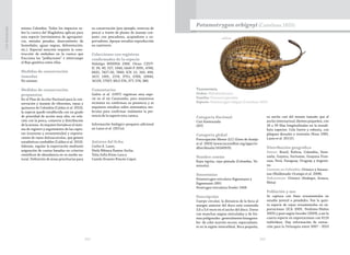 242 243
CasiAmenazada
misma Colombia. Todos los impactos so-
bre la cuenca del Magdalena aplican para
esta especie (vertimientos de agroquími-
cos, metales pesados, desecamiento de
humedales, aguas negras, deforestación,
etc.). Especial mención requiere la cons-
trucción de embalses en la cuenca que
fracciona las “poblaciones” e interrumpe
el flujo genético entre ellas.
Medidas de conservación
tomadas
No existen.
Medidas de conservación
propuestas
En el Plan de Acción Nacional para la con-
servación y manejo de tiburones, rayas y
quimeras de Colombia (Caldas et al. 2010),
la especie quedó establecida con un grado
de prioridad de acción muy alto, en rela-
ción con la pesca, comercio y distribución
de la misma. Se requiere fortalecer el siste-
ma de registro y seguimiento de las captu-
ras (consumo y ornamentales) y exporta-
ciones de rayas dulceacuícolas, que genere
estadísticas confiables (Caldas et al. 2010).
Además, regular la exportación mediante
asignación de cuotas basadas en criterios
científicos de abundancia en su medio na-
tural. Definición de áreas prioritarias para
su conservación (por ejemplo, reservas de
pesca) a través de planes de manejo con-
junto con pescadores, acopiadores y ex-
portadores. Apoyar estudios reproducción
en cautiverio.
Colecciones con registros
confirmados de la especie
Holotipo MNHNA 2368. Otras: CZUT-
IC 39, 40, 527, 1046; IAvH-P 3091, 4768,
6832, 7427-30, 7660; ICN 12, 243, 494,
1617, 1991, 2174, 3751, 6769, 10940,
16159, 17507; MLS 376, 377, 378, 380.
Comentarios
Galvis et al. (1997) registran esta espe-
cie en el río Catatumbo, pero muestreos
recientes no confirman su presencia y se
requieren estudios sobre sistemática mo-
lecular para confirmar realmente la pre-
sencia de la especie esta cuenca.
Información biológico-pesquera adicional
en Lasso et al. (2011e).
Autores del ficha
Carlos A. Lasso,
Herly Bibiana Ramos-Socha,
Tulia Sofía Rivas-Lara y
Camilo Ernesto Rincón-López
Taxonomía
Orden: Myliobatiformes
Familia: Potamotrygonidae
Especie: Potamotrygon orbignyi (Castelnau 1855)
Potamotrygon orbignyi (Castelnau 1855)
Categoría Nacional
Casi Amenazada
(NT)
Categoría global
Preocupación Menor (LC) (Góes de Araújo
et al. 2003) (www.iucnredlist.org/apps/re-
dlist/details/161609/0).
Nombre común
Raya tigrita, raya pintada (Colombia, Ve-
nezuela).
Sinonimias
Potamotrygon reticulatus Eigenmann y
Eigenmann 1891
Paratrygon reticulatus Fowler 1908
Descripción
Cuerpo circular, la distancia de la boca al
margen anterior del disco está contenida
3,6 a 5,6 veces en el ancho del disco. Dorso
con manchas negras reticuladas y de for-
mas poligonales -generalmente hexagona-
les- de color marrón oscuro, especialmen-
te en la región interorbital. Boca pequeña,
su ancho casi del mismo tamaño que el
ancho internarinal; dientes pequeños, con
24 a 39 filas longitudinales en la mandí-
bula superior. Cola fuerte y robusta, con
pliegues dorsales y ventrales (Rosa 1985,
Lasso et al. 2011f).
Distribución geográfica
Países: Brasil, Bolivia, Colombia, Vene-
zuela, Guyana, Suriname, Guayana Fran-
cesa, Perú, Paraguay, Uruguay y Argenti-
na.
Cuencas en Colombia: Orinoco y Amazo-
nas (Maldonado-Ocampo et al. 2008).
Subcuencas: Orinoco (Atabapo, Arauca,
Meta).
Población y uso
Se captura con fines ornamentales en
estadio juvenil o preadulto. Fue la quin-
ta especie de rayas ornamentales en ex-
portaciones (ICA 2005, Perdomo-Núñez
2005) y pasó según Incoder (2009), a ser la
cuarta especie en exportaciones con 6114
individuos. Hay información de extrac-
ción para la Orinoquia entre 2007 - 2010
 