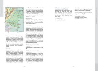 251250
CasiAmenazada
Puerto López aporta el volumen más gran-
de a los totales desembarcados (Pineda-
Arguello et al. 2011). En la Amazonia sus
desembarcos se producen junto con varias
especies y bagres pequeños, cuyo conjunto
recibe el nombre local de “cacharro”, por lo
que la información específica es difícil de
calcular. Se le comercializa para consumo
local en La Pedrera, Puerto Leguizamo y
Leticia.
 
Ecología
Es una especie carnívora que se alimenta
de pequeños peces, crustáceos, insectos,
lombrices, y otros animales de fondo, así
como de vegetales, detritos y semillas de
gramíneas (Salinas 1997). Los peces des-
cansan en las jornadas nocturnas y cre-
pusculares ocultos entre materia orgánica
en descomposición y en el día exploran los
fondos con sus barbillas (Salinas y Agude-
lo 2000). El comportamiento de situarse
verticalmente y con la cabeza hacia abajo
entre las plantas acuáticas es común en
juveniles. En este periodo de desarrollo,
los individuos presentan rasgos crípticos
que les dan la habilidad de camuflarse en
la vegetación acuática, rasgos que des-
aparecen cuando alcanzan la edad madu-
ra (30-40cm) (Reid 1986). Su biología es
poco conocida en la Amazonía colombiana
(Agudelo et al. 2011f).
Migraciones
La especie forma grandes cardúmenes
y realiza migraciones medianas despla-
zándose entre 100 y 500 km (Galvis et al.
2006, Usma et al. 2009).
Amenazas
Aunque no se tiene una evaluación deta-
llada de la declinación de los volúmenes y
tallas de captura debido a su reciente se-
paración taxonómica de S. cuspicaudus, se
tienen indicios que la especie también se
ha visto afectada por la actividad pesquera
y los artes de pesca ilegales. Se le captura
con líneas de mano, nylon, tapaje, barbas-
co y chinchorro (Salinas y Agudelo 2000).
La captura de esta especie está relacionada
con la época de reproducción debido a su
condición de migratoria, por lo que se asu-
me que la actividad puede estar afectando
sus tamaños poblacionales.
 
Medidas de conservación
tomadas
La talla mínima de conservación es 45 cm
LE.
 
Medidas de conservación
propuestas
Es importante determinar si la talla míni-
ma de captura legal debe ser la misma que
para S. cuspicaudus. En cuanto a la regla-
mentación de la actividad de pesca comer-
cial vale la pena evaluar si es necesaria la
restricción de los artes de pesca emplea-
dos. Finalmente, se considera importante
el seguimiento y evaluación de los volúme-
nes de captura.
 
Colecciones con registros
confirmados de la especie
Holotipo ZMB 3185. Otras: IAvH-P 375,
493, 538, 631, 646, 940, 1800, 2034,
2643, 3096, 3765, 4711, 4831; ICN 4480,
5073, 2452, 2576, 7003, 11197, 12826,
14779, 15037; MPUJ 643, 655, 1591,
1668, 1829.
 
Localidad tipo
Río Maranham (Brasil).
Comentarios
Galvis et al. (1997) la registrarón errónea-
mente en los ríos Atrato y Catatumbo.
Información biológico-pesquera adicional
en Agudelo et al. (2011f).
Autores de la ficha
Uriel Angel Buitrago-Suárez y
Ricardo Álvarez-León
SorubimlimaBlochySchneider1801
 