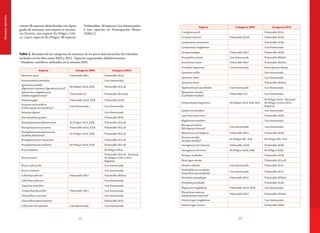 2322
cionan 36 especies identificadas con algún
grado de amenaza: una especie se encuen-
tra Extinta, una especie En Peligro Críti-
co, cuatro especies En Peligro, 48 especies
Vulnerables, 24 especies Casi Amenazadas
y tres especies en Preocupación Menor
(Tabla 1).
Resumenejecutivo
Especie Categoría 2002 Categoría 2012
Abramites eques Vulnerable (B2c) Vulnerable (B1a)
Acestrocephalus anomalus   Casi Amenazada
Ageneiosus pardalis
(Ageneiosus caucanus; Ageneiosus freiei)*
En Peligro (A1d, A2d) Vulnerable (A2c,d)
Apteronotus magdalenensis
(Ubidia magdalenensis)*
Vulnerable (C) Vulnerable (B1a,biii)
Arapaima gigas Vulnerable (A1d, A2d) Vulnerable (A2d)
Astyanax aurocaudatus
(Carlastyanax aurocaudatus)*
Casi Amenazada Casi Amenazada
Astyanax daguae   Casi Amenazada
Austrofundulus guajira   Vulnerable (B2a)
Brachyplatystoma filamentosum En Peligro (A1d, A2d) Vulnerable (A2c,d)
Brachyplatystoma juruense Vulnerable (A1d, A2d) Vulnerable (A2c,d)
Brachyplatystoma platynemum
(Goslinia platynema)*
En Peligro (A1d, A2d) Vulnerable (A2c,d)
Brachyplatystoma rousseauxii   Vulnerable (A2c,d)
Brachyplatystoma vaillantii En Peligro (A1d, A2d) Vulnerable (A2c,d)
Brycon labiatus   En Peligro (B1a)
Brycon moorei  
Vulnerable (A2c,d) - Nacional
En Peligro Crítico (A2c) -
Regional
Brycon rubricauda   Casi Amenazada
Brycon sinuensis   Casi Amenazada
Callichthys fabricioi Vulnerable (B2c) Vulnerable (B2biii)
Callichthys oibaensis   Casi Amenazada
Caquetaia umbrifera   Casi Amenazada
Cetopsorhamdia picklei Vulnerable (B2c) Casi Amenazada
Characidium caucanum   Casi Amenazada
Characidium phoxocephalum   Vulnerable (A2c)
Colossoma macropomum Casi Amenazada Casi Amenazada
Especie Categoría 2002 Categoría 2012
Cruciglanis pacifi   Vulnerable (A3c)
Curimata mivartii Vulnerable (A2d) Vulnerable (A2d)
Cynopotamus atratoensis   Vulnerable (A2d)
Cynopotamus magdalenae   Casi Amenazada
Doraops zuloagai Vulnerable (B2c) Vulnerable (A2d)
Eremophilus mutisii Casi Amenazada Vulnerable (B2biii)
Genycharax tarpon Vulnerable (B2c) Vulnerable (B1biii)
Grundulus bogotensis Casi Amenazada Preocupación Menor
Gymnotus ardilai   Casi Amenazada
Gymnotus choco   Casi Amenazada
Gymnotus henni   Vulnerable (B2biii)
Hyphessobrycon poecilioides Casi Amenazada Casi Amenazada
Hypostomus hondae
(Cochliodon hondae)*
Vulnerable (C1) Casi Amenazada
Ichthyoelephas longirostris En Peligro (A1d, A2d, B2c)
En Peligro (A2c) - Nacional
En Peligro Crítico (A2c) -
Regional
Lepidosiren paradoxa   Casi Amenazada
Leporinus muyscorum   Vulnerable (A2d)
Megalonema xanthum   Casi Amenazada
Microgenys minuta
(Microgenys minutus)*
Casi Amenazada Casi Amenazada
Mylossoma acanthogaster Vulnerable (B2c) Vulnerable (A2d)
Notarius bonillai
(Ariopsis bonillai)*
En Peligro (B1, 2cd) En Peligro (B1, 2cd)
Osteoglossum bicirrhosum Vulnerable (A2d) Vulnerable (A2d)
Osteoglossum ferreirai En Peligro (A1d, A2d) En Peligro (A2d)
Panaque cochliodon   Vulnerable (A2d)
Paratrygon aiereba   Vulnerable (A2a,d)
Parodon caliensis Casi Amenazada Vulnerable (A2c)
Pimelodella macrocephala
(Imparfinis macrocephala)*
Casi Amenazada Vulnerable (A2c)
Pimelodus coprophagus Vulnerable (B2c) Vulnerable (B2biii)
Pimelodus grosskopfii Vulnerable (A2d)
Plagioscion magdalenae Vulnerable (A1d, A2d) Casi Amenazada
Platysilurus malarmo
(Duopalatinus malarmo)*
Vulnerable (B2c) Vulnerable (B1biii)
Potamotrygon magdalenae   Casi Amenazada
Potamotrygon motoro   Vulnerable (A4d)
Tabla 1. Resumen de las categorias de amenaza de los peces dulceacuícolas de Colombia
incluidos en los libro rojos 2002 y 2012. Especies organizadas alfabéticamente.
* Nombres científicos utilizados en la versión 2002
 