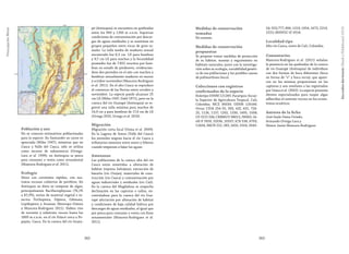 263262
PreocupaciónMenor
Población y uso
No se conocen estimativos poblacionales
para la especie. En Santander su carne es
apreciada (Miles 1947), mientras que en
Cauca y Valle del Cauca, sólo se utiliza
como recurso de subsistencia (Ortega-
Lara et al. 1999), en Antioquia se pesca
para consumo o venta como ornamental
(Mancera-Rodríguez et al. 2011).
Ecología
Sitios con corrientes rápidas, con sus-
tratos rocosos cubiertos de perifiton. En
Antioquia su dieta se compone de algas,
principalmente Bacillariophyceas (76,1%
a 87,3%), restos de material vegetal e in-
sectos Trichoptera, Diptera, Odonata,
Lepidoptera y Araneae (Restrepo-Gómez
y Mancera-Rodríguez 2011). Habita ríos
de torrente y substrato rocoso hasta los
1800 m s.n.m. en el río Palacé cerca a Po-
payán, Cauca. En la cuenca del río Guata-
pé (Antioquia) se encuentra en quebradas
entre los 900 y 1200 m s.n.m. Soportan
condiciones de contaminación por descar-
gas de aguas residuales y se mantiene en
grupos pequeños entre rocas de gran ta-
maño. La talla media de madurez sexual
encontrada fue 8,3 cm LE para hembras
y 9,7 cm LE para machos y la fecundidad
promedio fue de 7.852 ovocitos por hem-
bras en estado de predesove, evidencián-
dose dos períodos en el año con machos y
hembras sexualmente maduros en marzo
y octubre-noviembre (Mancera-Rodríguez
et al. 2011). En el alto Cauca se reproduce
al comienzo de las lluvias entre octubre y
noviembre. La especie puede alcanzar 25
cm LE (Miles 1947, Dahl 1971), pero en la
cuenca del río Guatapé (Antioquia) se re-
gistró una talla máxima para machos de
14,9 cm y para hembras de 17,4 cm de LE
(Urrego 2010, Urrego et al. 2010).
Migración
Migración corta local (Usma et al. 2009).
En la Laguna de Sonso (Valle del Cauca)
los juveniles migran hacia el río Cauca y
tributarios menores entre enero y febrero
cuando empiezan a bajar las aguas.
Amenazas
Las poblaciones de la cuenca alta del río
Cauca están sometidas a alteración de
hábitat (represa Salvajina), extracción de
bauxita (río Ovejas), materiales de cons-
trucción (río Cauca) y contaminación por
aguas industriales y residuales (río Cali).
En la cuenca del Magdalena se sospecha
declinación en las capturas o tallas, en-
contrándose para la cuenca del río Gua-
tapé afectación por alteración de hábitat
y condiciones de baja calidad hídrica por
descargas de aguas residuales, al igual que
por pesca para consumo o venta con fines
ornamentales (Mancera-Rodríguez et al.
2011).
Medidas de conservación
tomadas
No existen.
Medidas de conservación
propuestas
Se propone tomar medidas de protección
de su hábitat, manejo y seguimiento en
hábitats naturales, junto con la investiga-
ción sobre su ecología, variabilidad genéti-
ca de sus poblaciones y las posibles causas
de polimorfismo bucal.
Colecciones con registros
confirmados de la especie
Holotipo USNM 121285. Paratipos: Escue-
la Superior de Agricultura Tropical, Cali,
Colombia; MCZ 36030; USNM 120166.
Otras: CIUA 254-55, 393, 432, 631, 724-
25, 1126, 1137, 1202, 1330, 1495, 1508;
CP-UCO 336; CRBMUV 98015, 99065; IA-
vH-P 7659, 10336, 10337; ICN 538, 6793,
11604; IMCN 222, 283, 2435, 3104, 3343-
54; IUQ 777, 896, 1219, 1954, 1673, 2219,
2222; MHNUC-IC 0516.
Localidad tipo
Alto río Cauca, norte de Cali, Colombia.
Comentarios
Mancera-Rodríguez et al. (2011) señalan
la presencia en las quebradas de la cuenca
de río Guatapé (Antioquia) de individuos
con dos formas de boca diferentes (boca
en forma de “v” y boca recta), que apare-
cen en las mismas proporciones en las
capturas y son similares a las registradas
por Usma et al. (2002). La especie presenta
dientes especializados para raspar algas
adheridas al sustrato rocoso en los ecosis-
temas acuáticos.
Autores de la ficha
José Saulo Usma Oviedo,
Armando Ortega-Lara y
Néstor Javier Mancera-Rodríguez
Saccodondariensis(MeekyHildebrand1913)
 