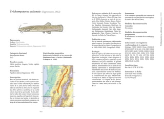 264 265
Trichomycterus caliensis (Eigenmann 1912)
Categoría Nacional
Preocupación Menor
(LC)
Nombre común
Jabón, guabino, langara, briola, capitán
enano, laucha.
Sinonimia
Pygidium caliensis Eigenmann 1912
Descripción
Boca en posición terminal, con dientes in-
cisivos en los adultos y cónicos en los juve-
niles; aleta caudal redondeada, los últimos
radios de la aleta dorsal están alineados
sobre la mitad de la aleta anal; el origen de
las aletas pélvicas equidista de la caudal
y de la base de las pectorales. En los adul-
tos los lados del cuerpo tienen numerosas
manchas, aquellas a lo largo de la línea me-
dia no forman una banda, en juveniles es
común encontrar una banda conspicua a lo
largo de la línea mediolateral del cuerpo.
Distribución geográfica
Endémica de Colombia, en las cuencas del
Magdalena-Cauca y Pacífico (Maldonado-
Ocampo et al. 2008).
Taxonomía
Orden: Siluriformes
Familia: Trichomycteridae
Especie: Trichomycterus caliensis (Eigenmann 1912)
Subcuencas: endémica de la cuenca alta
del río Cauca. Aunque fue registrada en
los ríos Anchicayá y Calima (Ortega-Lara
et al. 2000), al parecer se trata de otra es-
pecie. Ríos Robles, Hondo, Blanco, Palacé,
Cofre, Bermejal, Ovejas, Mondomo, Tim-
ba, Mandivá, Quinamayó, Quilichao, La
Quebrada, Río Grande, Palo, San Miguel,
Desbaratado, Jamundí, Cali, Bolo, Amai-
me, Mediacanoa, Guadalajara, Tulúa, Bu-
galagrande, Pijao, Chanco, Catarina, Ca-
ñaveral, La Paila, La Vieja y Cauca.
Población y uso
No se conocen estimativos poblacionales
para la especie. De amplia distribución en
la cuenca alta del río Cauca (Ortega-Lara et
al. 1999, 2000, 2002, Ortega-Lara 2004).
Ecología
Especie críptica, de hábitos nocturnos que
permanece oculta durante el día entre la
vegetación sumergida, restos vegetales y
rocas. Prefiere pequeñas quebradas y ríos
medianos con poca corriente. Es posible
encontrarla en sitios correntosos entre
piedras, sosteniéndose con la ayuda de las
espinas operculares e interopercualres.
Depredador muy activo de insectos acuá-
ticos, especialmente ninfas de libélulas.
Es una especie que tolera en algún grado
la contaminación del agua (Maldonado-
Ocampo et al. 2005). Su reproducción está
condicionada a la llegada de las lluvias,
produciéndose dos veces al año (Ortega-
Lara et al. 1999, 2002). Alcanza los 22 cm
de LT.
Amenazas
Se le considera susceptible por tratarse de
una especie con distribución restringida a
la cuenca alta del río Cauca.
Medidas de conservación
tomadas
No existen.
Medidas de conservación
propuestas
Se recomienda el estudio de su biología y
ecología.
Colecciones con registros
confirmados de la especie
Holotipo FMNH 56029. Otras: CRBMUV
87008; CZUT-IC 60, 63, 1150, 2867, 2868,
2872, 2887; IAvH-P 10396, 10408, 10413;
ICN 911, 1693, 2321, 2636, 3172, 7289;
IMCN 71, 76, 77, 220, 1077-99, 2250,
2274, 2286, 2290, 2315, 2385, 2415,
3093, 3109, 3213, 3269, 3522, 4284,
4286; MLS2 14, 842.
Localidad tipo
Río Cali (3˚27’N 76˚31’W).
Autores de la ficha
José Saulo Usma Oviedo,
Armando Ortega-Lara y
Lucena Vásquez
Trichomycteruscaliensis(Eigenmann1912)
 