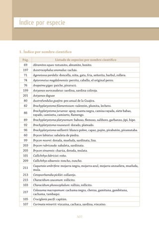 307
Índice por especie
Pág. Listado de especies por nombre científico
69 Abramites eques: totumito, abramite, bonito.
197 Acestrocephalus anomalus: cachás.
71 Ageneiosus pardalis: doncella, niña, gata, fría, señorita, barbul, rollera.
74 Apteronotus magdalenensis: perrita, caballo, el original perro.
76 Arapaima gigas: paiche, pirarucú.
199 Astyanax aurocaudatus: sardina, sardina coliroja.
201 Astyanax daguae
80 Austrofundulus guajira: pez anual de la Guajira.
82 Brachyplatystoma filamentosum: valentón, plumita, lechero.
86
Brachyplatystoma juruense: apuy, manta negra, camisa rayada, siete babas,
rayado, camiseta, camiseto, flamengo.
89 Brachyplatystoma platynemum: baboso, flemoso, saliboro, garbanzo, jipi, hipe.
92 Brachyplatystoma rousseuxii: dorado, plateado.
96 Brachyplatystoma vaillantii: blanco pobre, capaz, pujón, pirabutón, piramutaba.
60 Brycon labiatus: sabaleta de piedra.
99 Brycon moorei: dorada, mueluda, sardinata, lisa.
203 Brycon rubricauda: sabaleta, sardinata.
205 Brycon sinuensis: charúa, dorada, mulata.
101 Callichthys fabricioi: roño.
209 Callichthys oibaensis: roncho, runcho.
211
Caquetaia umbrifera: mojarra negra, mojarra azul, mojarra anzuelera, mueluda,
mula.
213 Cetopsorhamdia picklei: collarejo.
215 Characidium caucanum: rollicito.
103 Characidium phoxocephalum: rollizo, rollicito.
217
Colossoma macropomum: cachama negra, cherna, gamitana, gambitana,
cachama, tambaqui.
105 Cruciglanis pacifi: capitán.
107 Curimata mivartii: vizcaína, cachaca, sardina, viscaíno.
1. Índice por nombre científico
 