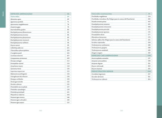319318
Anexos
ESPECIES AMENAZADAS 56
Vulnerables 69
Abramites eques 69
Ageneiosus pardalis 71
Apteronotus magdalenensis 74
Arapaima gigas 76
Austrofundulus guajira 80
Brachyplatystoma filamentosum 82
Brachyplatystoma juruense 86
Brachyplatystoma platynemum 89
Brachyplatystoma rousseuxii 92
Brachyplatystoma vaillantii 96
Brycon moorei 99
Callichthys fabricioi 101
Characidium phoxocephalum 103
Cruciglanis pacifi 105
Curimata mivartiii 107
Cynopotamus atratoensis 109
Doraops zuloagai 112
Eremophilus mutisii 114
Genycharax tarpon 118
Gymnotus henni 120
Leporinus muyscorum 122
Mylossoma acanthogaster 124
Osteoglossum bicirrhosum 126
Panaque cochliodon 130
Paratrygon aiereba 132
Parodon caliensis 135
Pimelodella macrocephala 137
Pimelodus coprophagus 139
Pimelodus grosskopfii 141
Platysilurus malarmo 144
Potamotrygon motoro 146
Potamotrygon schroederi 149
Potamotrygon yepezi 152
Vulnerables (continuación) 59
Prochilodus magdalenae 154
Prochilodus reticulatus (En Peligro para la cuenca del Ranchería) 160
Pseudocurimata patiae 163
Pseudoplatystoma metaense 165
Pseudoplatystoma orinocoense 168
Pseudoplatystoma punctifer 171
Pseudoplatystoma tigrinum 174
Pterophyllum altum 177
Rhinodoras thomersoni 179
Salminus affinis (En Peligro para la cuenca del Ranchería) 181
Sorubim cuspicaudus 184
Trichomycterus cachiraensis 186
Trichomycterus gorgona 188
Trichomycterus sandovali 190
Zungaro zungaro 192
ESPECIES CASI AMENAZADAS 196
Acestrocephalus anomalus 197
Astyanax aurocaudatus 199
Astyanax daguae 201
Brycon rubricauda 203
Brycon sinuensis 205
PREOCUPACIÓN MENOR 256
Grundulus bogotensis 257
Saccodon dariensis 261
Trichomycterus caliensis 264
 