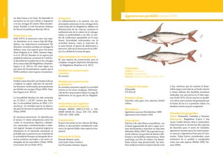 70 71
Vulnerable
no, bajo Cauca y río Cesar. En Santader se
encuentra en los ríos Lebrija y Sogamoso
y en las cienagas El Llanito (Barrancaber-
meja), Paredes y Caño Peruétano (Sabana
de Torres) (Castellanos-Morales 2011).
Población y uso
Dahl (1971) la menciona como una espe-
cie abundante en la cuenca baja del Mag-
dalena, con importancia ornamental. No
obstante, recientes estudios en ciénagas la
definen como una especie poco frecuente
(Ríos-Pulgarín et al. 2008, Jiménez-Segu-
ra et al. 2011a). Basados en la captura por
unidad de esfuerzo, se estimó en 3 ind.ha-1
la densidad de la población en las ciénagas
de la cuenca baja del Magdalena (Jiménez-
Segura et al. 2011a). No tiene algún uso
por parte de los pescadores a pesar que el
INPA la definió como especie ornamental.
Ecología
Prefiere zonas litorales con fondos lodosos
y habitan la región radicular de macrofi-
tas flotantes conformadas principalmente
por Eichhornia crassipes (Olaya 2009, Jimé-
nez-Segura et al. 2011a).
La fecundidad absoluta ha sido estimada
en 21.194,2 ± 14.237 oocitos por hem-
bra. La fecundidad relativa en 2826 ± 511
oocitos.g-1
. Se considera que es un desova-
dor parcial durante los periodos de lluvias
(Olaya 2009).
Es omnívora-insectívora. Se identificaron
al menos 11 ítems alimenticios entre los
cuales se encuentran dípteros, coleópte-
ros, ostrácodos, conchostrácodos y mate-
rial vegetal. Aunque el material vegetal es
abundante en el contenido estomacal, es
probable que su presencia sea resultado de
la actividad de forrajeo en búsqueda de in-
sectos acuáticos asociados a las raíces su-
mergidas de las macrofitas (Olaya 2009).
Crece hasta 20 cm (Dahl 1971).
Amenazas
La sedimentación y la minería son sus
principales amenazas en las ciénagas de la
cuenca baja del río Magdalena; debido a la
deforestación de las cuencas, aumenta la
sedimentación de la cubeta de la ciénaga,
reduce su profundidad y con ello, el cam-
bio de condiciones apropiadas en la zona
litoral. Actividades relacionadas con la
actividad minera, como la remoción de
la zona litoral, el aporte de sedimentos y
mercurio, afectan la estructura de su hábi-
tat y la calidad de la masa de agua.
Oportunidades de conservación
Es una especie de conservación para el
complejo cenagoso Depresión Momposina
- río Magdalena (Ramírez et al. 2011).
Medidas de conservación
tomadas
No existen.
Medidas de conservación
propuestas
Se considera necesario regular la actividad
minera en las áreas cenagosas. Reforesta-
ción de las cuencas para reducir la carga de
sedimentos en las aguas del río Magdale-
na.
Colecciones con registros
confirmados de la especie
Sintipos BMNH 1895.5.17.155 y 156;
NMW 69548-50. Otras: ICN 273, 2030;
CIUA 162, 1069, 1836.
Comentarios
Es poco frecuente en las colectas del Mag-
dalena, lo que permite considerarla como
rara y no aprovechable como especie orna-
mental.
Autores de la ficha
Ricardo Álvarez-León,
José Saulo Usma Oviedo y
Luz Fernanda Jiménez-Segura
Taxonomía
Orden: Siluriformes
Familia: Ageneiosidae
Especie: Ageneiosus pardalis Lütken 1874
Ageneiosus pardalis Lütken 1874
Categoría Nacional
Vulnerable
VU (A2c,d)
Nombre común
Doncella, niña, gata, fría, señorita, barbul
rollera.
Sinonímias
Ageneiosus caucanus Steindachner 1880
Ageneiosus freiei Schultz 1944
Descripción
Piel lisa y de color blanco amarillento, con
el dorso pigmentado de azul a negro en lí-
neas horizontales y manchas no muy bien
definidas (Miles 1947). Boca grande en po-
sición inferior con parches de dientes villi-
formes y sin barbillas mentonianas. Aleta
anal larga, con 38 a 41 radios. Con dimor-
fismo sexual muy pronunciado; las hem-
bras maduras tienen la espina dorsal corta
y lisa, mientras que los machos la desar-
rollan larga y aserrada en su borde interior
y tienen además dos barbillas maxilares
osificadas con una sierra en el lado supe-
rior (Dahl 1971). En los machos se modifi-
ca la aleta anal a manera de gonopodio por
la fusión de los 4 ó 5 primeros radios, las
hembras tienen un poro urogenital.
Distribución geográfica
Países: Venezuela, Colombia y Panamá.
Subcuencas: Magdalena (Cauca y San
Juan), Caribe (Atrato, Sinú y Catatumbo).
Anteriormente se reconocian dos especies
de doncellas para el norte de Colombia:
Ageneiosus caucanus para las cuatro prime-
ra cuencas y Ageneiosus freiei para el Cata-
tumbo. Todas fueron consideradas como
sinónimos de A. pardalis y reasignadas
como una sola especie (Walsh 1990, Fer-
raris 2003).
 