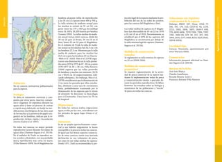 7372
Vulnerable
Población
No se conocen estimativos poblacionales
para la especie.
Ecología
Su dieta es netamente carnívora y com-
puesta por otros peces, insectos, camaro-
nes y cangrejos. Se reproduce durante las
aguas altas y tiene un proceso de cortejo
y cópula muy elaborado, en donde las mo-
dificaciones morfológicas de las aleta anal
de los machos y la presencia de papila uro-
genital en las hembras, indican que la re-
producción incluya cópula y fecundación
interna (Galvis et al. 1997).
En todas las cuencas, su mayor período
reproductivo ocurre durante los meses de
aguas altas (Jiménez-Segura et al. 2011b).
En el embalse de Prado se reproduce en-
tre octubre y diciembre, con una probable
época reproductiva más corta en marzo
(Villa-Navarro 1999). En el Magdalena las
hembras alcanzan tallas de reproducción
a los 35 cm LE y pesan entre 400 y 700 g.
La talla mínima de madurez sexual para
los machos se estimó en 31 cm LE, con
pesos entre los 275 y 400 g y fecundidad
entre 18. 000 y 28.200 huevos por hembra
(Lozano 1983). La tallas medias de madu-
rez sexual varían entre cuencas, desde los
28 cm LE para el Atrato, 35 cm LE en el
Sinú, hasta 39 cm LE para el Magdalena.
En el embalse de Prado la talla de madu-
rez sexual en los machos fué 24,5 cm y en
las hembras 27,5 cm. Mientras que la talla
media de madurez para los machos fue
24,5 cm y para las hembras 33 cm (García-
-Melo et al. 2010). Hiss et al. (1978) regis-
traron una disminución en la talla prome-
dio entre 1974 y 1975 de 47 - 48 cm y entre
1976-1977 de 45 a 46 cm; Villa-Navarro
(1999) registra que las tallas promedio
de hembras y machos son menores: 34,76
cm y 30,85 cm LE respectivamente, indi-
cando sobrepesca. Sin embargo, Hiss et al.
(1978) consideraron que la disminución de
2 cm entre los periodos por ellos estudia-
dos, obedecen a una tasa de crecimiento
lenta, probablemente ocasionada por la
disminución de las especies que le sirven
de alimento. Se desconoce su bioecología
para el Catatumbo. Crece hasta los 70 cm
de longitud.
Migraciones
En todas las cuencas realiza migraciones
aguas arriba por los ríos, coincidentes con
los períodos de aguas bajas (Usma et al.
2009).
Amenazas
Es de un amplio aprovechamiento comer-
cial y sus hábitos migratorios la hacen
susceptible a la pesca en todas las cuencas.
Al igual que las demás especies comercia-
les de estas cuencas, existe una marcada
declinación en sus volúmenes de pesca,
así como en sus tallas medias de captura.
Desde 1971, Dahl ya recomendaba la pro-
tección legal de la especie mediante la pro-
hibición del uso de las redes de arrastre,
para las cuencas del Magdalena y Sinú.
Las tallas medias de captura en el Magda-
lena han descendido de 45 cm LE en 1978
a 32 cm LE en el 2010. Recientemente se
estableció que el 40% de las capturas del
Magdalena se encontraron por debajo de
la talla mínima legal de captura (Jiménez-
Segura et al. 2011b).
Medidas de conservación
tomadas
Se reglamentó su talla mínima de captura
en 35 cm (INPA 1994).
Medidas de conservación
propuestas
Se requiere reglamentación de la activi-
dad de pesca comercial de la especie me-
diante la implementación vedas de pesca
y comercialización totales o parciales du-
rante los períodos reproductivos. Se deben
fomentar los estudios sobre su biología y
monitoreos de las poblaciones y “stocks”
de pesca en todas las cuencas.
Colecciones con registros
confirmados de la especie
Holotipo ZMUC 207. Otras: CIUA 77,
106, 147, 174, 513; CZUT-IC 43, 1274,
2213, 2403, 2406, 2407; IAvH-P 608,
729, 6693-6696, 7379-7390, 7396, 7397,
7382, 8482-89; ICN 28, 257, 267, 469,
1866, 2010, 2177, 4083, 8219, 8220, 8241,
10014-10016.
Localidad tipo
Caracas, Venezuela, aparentemente por
error (Ferraris 2003).
Comentarios
Información pesquera adicional en Jimé-
nez-Segura et al. (2011b).
Autores de la ficha
José Iván Mojica,
Claudia Castellanos,
Ricardo Álvarez -León y
Francisco Antonio Villa-Navarro
AgeneiosuspardalisLütken1874
 