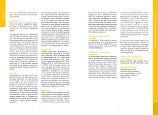 9190
Vulnerable
Subcuencas: Amazonas (Amazonas, Ca-
quetá y Putumayo); Orinoco (Meta, Arau-
ca y Guaviare).
Población y uso
Es la novena especie utilizada en la Ori-
noquia con 29,3 ton (MADR-CCI 2010a).
En Leticia, los desembarcos de la especie
alcanzan las 311 ton/año (MADR-CCI
2010a).
Los registros históricos de desembarco
entre 1979 y 2009 en Puerto López, mues-
tran una disminución acentuada de los
volúmenes desembarcados, pasando de 38
ton en 1979 a 1,9 ton en 1994 y luego au-
mentando a 12 ton en 2009 (Ramírez-Gil
et al. 2011b). Esta tendencia de recupera-
ción en los últimos años de B. platynemum
se observa también en Puerto Gaitán,
Puerto Carreño y San José de Guaviare
(Ramírez-Gil et al. 2011b). De la cuenca
Amazonas se cuentan con registros his-
tóricos de desembarcos de los años 2006
a 2009 (Incoder–CCI 2007, MADR-CCI
2008a, 2009a, 2010a) los cuales han va-
riado entre 245 y 345 ton/año, teniendo
que el 99% de este producto proviene de
territorio Brasilero (Bonilla-Castillo et al.
2011b).
Ecología
Especie piscívora. Se captura en el cauce
principal de los ríos de aguas blancas y ha-
bita aguas profundas, con tallas de hasta
de 107 cm LE y 127 cm LT (Ramírez-Gil
et al. 2011b). En la cuenca Orinoco se re-
produce en noviembre, diciembre y ene-
ro que corresponde al periodo de aguas
descendentes y principios de aguas bajas
(Ramírez-Gil 1987a). La especie tiene una
fecundidad de 353.400 ovocitos/hembra
(Garzón-Franco 1986). La talla media de
madurez gonadal para la Orinoquia fue
estimada en 64 cm de LE para las hembras
y de 51 cm LE para los machos (Incoder-
CCI 2007).
En la Amazonia la época de reproducción
para la parte alta del río Putumayo ocurre
en julio y agosto durante la época de aguas
en descenso. Para el sector de la Pedrera
en el río Caquetá, se registraron hem-
bras maduras de mayo a julio con mayor
frecuencia en junio durante el período de
aguas altas; en cambio para el Araracua-
ra, la mayor proporción se presenta entre
julio a octubre, durante la época de aguas
en descenso. La talla de madurez gonadal
estimada para Araracuara es de 85 cm de
LE y 87 cm de LE en la Pedrera. En el río
Putumayo es de 83 cm LE (Agudelo et al.
2000). La longitud y peso asintótico calcu-
lado para el río Caquetá es de 110 cm de LE
y 15,7 kg; para el río Amazonas es de 105
cm de LE y 13,5 kg (Agudelo et al. 2000).
Migraciones
Grandes migraciones longitudinales y
transfronterizas (Barthem y Goulding
2007, Usma et al. 2009). Se desplaza desde
la desembocadura del río Orinoco hasta
las partes altas de los ríos Meta y Gua-
viare a reproducirse (Ramírez-Gil 1987b;
Ramírez-Gil et al. 2002a, Ramírez-Gil et
al. 2011b). En la Orinoquia presenta una
única migración que se observa en forma
acentuada al inicio de aguas descendentes
(septiembre - diciembre), la cual coincide
con su periodo reproductivo e igualmen-
te con grandes migraciones de carácidos
de los cuales se alimentan (Ramírez-Gil
1987b). En la Amazonia también se re-
gistra una sola migración con fines repro-
ductivos durante enero (Leticia); en julio
y agosto (Putumayo) (Barthem y Goulding
1997, Bonilla-Castillo et al. 2011b).
Amenazas
En la Orinoquia no hay medidas de mane-
jo que limiten la captura durante su perio-
do reproductivo, pues la veda establecida
durante mayo y junio no lo cubre (octubre
- diciembre) (Ramírez-Gil y Ajiaco-Martí-
nez 2011a). Tampoco existe dicha medida
para la Amazonia. El avance de la frontera
agropecuaria en el piedemonte llanero,
junto con actividades petroleras amena-
zan la especie en los afluentes de los ríos
Meta y Guaviare, que son las principales
áreas de reproducción. Así mismo, el dra-
gado para la extracción de materiales para
la construcción, perjudican seriamente el
ecosistema. Sumando a ello, el vertimien-
to de metales pesados como mercurio y
derivados petroquímicos.
Medidas de conservación
tomadas
Se estableció la talla mínima de captura
para la Orinoquia en 62 cm de LE (acuerdo
No 1087 de 1981 del INDERENA) y para
la Amazonia en 70 cm LE (acuerdo 075 de
1989 de INDERENA).
Medidas de conservación
propuestas
Al ser una especie migradora transnacio-
nal, es indispensable concertar políticas
de manejo conjuntas con Venezuela para
la cuenca Orinoco y con Ecuador, Perú,
Bolivia y Brasil para Amazonas. Estas
políticas deben considerar el enfoque eco-
sistémico. Por tal razón es indispensable
la participación activa de las autoridades
ambientales a fin de garantizar la estabi-
lidad tanto de los ecosistemas acuáticos
como de los terrestres, estrechamente re-
lacionados dentro de las cuencas, puesto
que las quemas y deforestación en cabece-
ras y en áreas de inundación, alteran am-
bientes de paso o de refugio. Así mismo es
importante que los planes de ordenamien-
to ambiental de las cuencas y subcuencas
sean eficientemente vigilados y contro-
lados, con el fin de disminuir la contami-
nación por vertimientos urbanos, agrope-
cuarios e industriales, especialmente de la
actividad petrolera para el caso de la Ori-
noquia y la minería de aluvión de los ríos
Inírida (Orinoquia), Putumayo y Caquetá
(Amazonia).
La construcción de acuerdos de pesca, de-
finir áreas de conservación y de uso, así
como estrategias regionales en las cuales
se tenga control sobre la adecuada utili-
zación de aparejos de pesca, pueden ser
metas a alcanzar en el corto plazo por la
autoridad pesquera.
Colecciones con registros
confirmados de la especie
Holotipo BMNH 1898. 10.11,20. Otras:
CIACOL 464, 470; ICN 4472; MPUJ 1154.
Autores de la ficha
Hernando Ramírez-Gil,
Rosa Elena Ajiaco-Martínez,
César Augusto Bonilla-Castillo,
Edwin Agudelo Córdoba y
Carlos A. Lasso
BrachyplatystomaplatynemumBoulenger1898
 