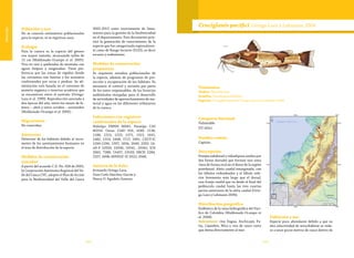 104 105
Vulnerable
Población y uso
No se conocen estimativos poblacionales
para la especie, ni se registran usos.
Ecología
Para la cuenca es la especie del género
con mayor tamaño, alcanzando tallas de
12 cm (Maldonado-Ocampo et al. 2005).
Vive en ríos y quebradas de montaña con
aguas limpias y oxigenadas. Tiene pre-
ferencia por las zonas de rápidos donde
las corrientes son fuertes y los sustratos
conformados por rocas y piedras. Su ali-
mentación está basada en el consumo de
materia orgánica e insectos acuáticos que
se encuentran entre el sustrato (Ortega-
Lara et al. 1999). Reproducción asociada a
dos épocas del año, entre los meses de fe-
brero – abril y entre octubre – noviembre
(Maldonado-Ocampo et al. 2005).
Migraciones
No conocidas.
Amenazas
Deterioro de los hábitats debido al incre-
mento de los asentamientos humanos en
el área de distribución de la especie.
Medidas de conservación
tomadas
A partir del acuerdo C.D. No. 028 de 2005,
la Corporación Autónoma Regional del Va-
lle del Cauca CVC, adoptó el Plan de Acción
para la Biodiversidad del Valle del Cauca
2005-2015 como instrumento de linea-
miento para la gestión de la biodiversidad
en el departamento. Este documento prio-
rizó la generación de conocimiento de la
especie que fue categorizada regionalmen-
te como de Rango Incierto (S1S2), es decir
escasez y endemismo.
Medidas de conservación
propuestas
Se requieren estudios poblacionales de
la especie, además de programas de pro-
tección y recuperación de los hábitats. Es
necesario el control y revisión por parte
de los entes responsables, de las licencias
ambientales otorgadas para el desarrollo
de actividades de aprovechamiento de ma-
terial y agua en los diferentes tributarios
de la cuenca.
Colecciones con registros
confirmados de la especie
Holotipo FMNH 56061. Paratipo CAS
60254. Otras: CIAU 910, 1049, 1138,
1186, 1215, 1223, 1271, 1315, 1441,
1482, 1519, 1608, 1717, 1891; CZUT-IC
1294-1296, 1597, 1834, 2049, 2292; IA-
vH-P 10339, 10340, 10341, 10342; ICN
3265, 7288, 15457, 15533; IMCN 2284,
2327, 3498; MHNUC-IC 0522, 0566.
Autores de la ficha
Armando Ortega-Lara,
Gian Carlo Sánchez-Garcés y
Henry D. Agudelo-Zamora
Taxonomía
Orden: Siluriformes
Familia: Pseudopimelodidae
Especie: Cruciglanis pacifici Ortega-Lara y Lehmann 2006
Cruciglanis pacifici Ortega-Lara y Lehmann 2006
Categoría Nacional
Vulnerable
VU (A3c)
Nombre común
Capitán.
Descripción
Franjas subdorsal y subadiposa unidas por
dos líneas dorsales que forman una zona
clara de forma oval en el dorso de la región
postdorsal. Aleta caudal emarginada, con
los lóbulos redondeados y el lóbulo infe-
rior levemente más largo que el dorsal,
una franja caudal que va desde el final del
pedúnculo caudal hasta las tres cuartas
partes anteriores de la aleta caudal (Orte-
ga-Lara y Lehmann 2006).
Distribución geográfica
Endémica de la zona hidrográfica del Pací-
fico de Colombia (Maldonado-Ocampo et
al. 2008).
Subcuencas: ríos Dagua, Anchicayá, Pa-
tía, Cajambre, Mira y ríos de cauce corto
que drena directamente al mar.
Población y uso
Especie poco abundante debido a que su
alta selectividad de microhábitat se redu-
ce a unos pocos metros de cauce dentro de
 