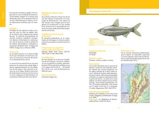 106 107
Vulnerable
las zonas de corrientes y rápidos. Se ha re-
gistrado en cinco localidades de muestreo,
encontrándose siempre en la misma zona
dentro del cauce. Por su pequeña talla (11
cm LE) y dificultad para la captura, no tie-
ne importancia económica para el consu-
mo.
Ecología
El hábitat de esta especie se reduce a tra-
mos del cauce en sitios de rápidos, don-
de el sustrato está compuesto por gravas
gruesas. Se alimenta principalmente de
insectos acuáticos inmaduros (tricópte-
ros, dípteros, efemerópteros y odonatos),
así como de insectos acuáticos adultos de
los órdenes Hymenoptera y Coleoptera y
camarones del género Atya (Ortega-Lara
2004b, Ortega-Lara y Lehmann 2006).
Amenazas
La principal amenaza es la minería ilegal
de oro que contamina con mercurio y cia-
nuro, así como por la remoción del sustra-
to y la alteración de los cauces.
La extracción de material de los ríos para
proyectos de construcción, puede llegar a
afectar significativamente los microhábi-
tats de esta especie. Esta situación se ob-
serva en el río Dagua, donde la extracción
de material para la construcción de vías en
el tramo Loboguerrero-Buenaventura, ha
ocasionado la alteración del cauce del río.
Medidas de conservación
tomadas
En la Reserva Forestal y Protectora de los
ríos San Cipriano y Escalerete, en el mu-
nicipio de Buenaventura, esta especie ha
sido tomada como insignia para los pro-
gramas de conservación. Es una medida
local, iniciativa de la comunidad que con-
serva el río para poder desarrollar progra-
mas de ecoturismo.
Medidas de conservación
propuestas
Es necesario profundizar en el conoci-
miento de la biología y la dinámica pobla-
cional de esta especie y la protección de su
hábitat.
Colecciones con registros
confirmados de la especie
Holotipo IMCN 2359. Otras: CZUT-IC
1895; IAvH-P 7505; IMCN 3941.
Localidad tipo
Río San Cipriano en su paso por la pobla-
ción de San Cipriano, cerca de la confluen-
cia con la quebrada La Sardina, aproxima-
damente 500 m antes de la confluencia con
el río Dagua (03º50.543’ N - 76º54.068’
W), a 84 m s.n.m. cerca de Buenaventura,
Valle del Cauca.
Autor de la ficha
Armando Ortega-Lara
Taxonomía
Orden: Characiformes
Familia: Curimatidae
Especie: Curimata mivartii Steindachner 1878
Curimata mivartii Steindachner 1878
Categoría Nacional
Vulnerable
VU (A2d)
Nombre común
Vizcaína, cachaca, sardina, viscaíno.
Descripción
Se reconoce fácilmente por la ausencia de
dientes. Cuerpo de color plateado unifor-
me cubierto por escamas pequeñas, con
los radios centrales de la aleta caudal os-
curos. Lóbulos de la aleta caudal más gran-
des que la cabeza. Aleta dorsal puntiaguda
o falcada y su origen es equidistante entre
la punta del hocico y la punta de la aleta
adiposa. Las aletas caudal y anal no tienen
escamas. Línea lateral generalmente con
70 a 78 escamas perforadas, aleta dorsal
con 11 radios y anal con 11 o raramente
12 radios (Eigenmann 1922, Dahl 1971).
Distribución geográfica
Endémica de Colombia, en las cuencas del
Caribe y Magdalena (Maldonado-Ocampo
et al. 2008).
Subcuencas: río Magdalena de Barran-
quilla a Neiva. Caribe (río Sinú).
Población y uso
No se conocen estimativos poblacionales
para la especie. Es comestible y apreciada
en ciertas regiones, sobre todo sus huevos,
de los cuales una hembra puede llevar más
de 100.000 (Dahl 1971).
 