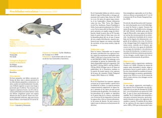 161160
Prochilodus reticulatus Valenciennes 1850
Categoría Nacional
Vulnerable
VU (A2d)
Categoría Regional
Cuenca río Ranchería
En Peligro
EN B1b(ii), B1c(iii)
Nombre común
Bocachico.
Descripción
De boca pequeña, con labios carnosos en
forma de disco más o menos protráctil y
en ellos dientes pequeños y numerosos. La
aleta caudal esta profundamente furcada,
con el lóbulo superior un poco mas largo y
punteado que el inferior. Sus escamas son
rugosas y ásperas al tacto, con 42 o 43 es-
camas perforadas en la línea lateral. Como
sus demás congéneres posee una espina
delante de aleta la dorsal. Posee una colo-
ración plateada uniforme, algo más oscura
hacia el dorso, crece hasta los 35 cm de LE.
Distribución geográfica
Países: Colombia y Venezuela.
Cuencas en Colombia: Caribe (Maldona-
do-Ocampo et al. 2008)
Subcuencas: se encuentra sólo en la cuen-
cas de los ríos Catatumbo y Ranchería.
Taxonomía
Orden: Characiformes
Familia: Prochilodontidae
Especie: Prochilodus reticulatus Valenciennes 1850
En el Catatumbo habita en toda la cuenca
desde el Lago de Maracaibo y ciénagas ad-
yacentes de la parte baja, hasta los 1000
m s.n.m. En época de aguas bajas remon-
ta el río Catatumbo y demás tributarios
como los ríos, Tibú, Tarra, San Miguel,
río de Oro, Sardinata, Nuevo Presidente y
Zulia, hasta aproximadamente los 1000 m
s.n.m. En la cuenca del río Ranchería la es-
pecie presenta un amplio rango de distri-
bución, desde la parte alta en El Cercado,
hasta la parte baja en Riito muy cerca de
la desembocadura del río al mar. A pesar
de esta amplia distribución, muestra pre-
ferencia por lugares con menor velocidad
de corriente, en las zonas media y baja de
la cuenca.
Población y uso
Para la cuenca Catatumbo era la especie
de mayor contribución a las capturas tota-
les, según los monitoreos realizados entre
1989 y 1995 por la Asociación Cravo Nor-
te (ECOPETROL 1996). Sin embargo, en la
actualidad su aporte ha disminuido. Los
datos disponibles indican lo siguiente: 335
kg (2007), 104 kg (2007), 443 kg (2009) y
154 kg (2010) (Ortega-Lara et al. datos no
publicados). En el Ranchería tambien es
la especie de mayor aporte a las capturas
de la pesca de consumo (Unión Temporal
Guajira 2003, Mojica et al. 2006b).
Ecología
En el río Ranchería las mayores capturas
ocurren en la cuenca media, a partir de la
localidad de La Batea. La especie presenta
comportamiento migratorio en aguas ba-
jas y remonta el río, época en que ocurre
la maduración de gónadas. De acuerdo con
los pescadores de la región su reproduce
en la parte baja de la cuenca, coincidente
con el retorno de los migrantes al inicio de
las aguas altas. Aún se conocen plenamen-
te las zonas de desove. En esta cuenca la
especie que se alimenta exclusivamente de
detritus.
Para ejemplares capturados en el río Ran-
chería se obtuvo un promedio de 17 cm LE
y máximo de 29 cm (Unión Temporal Gua-
jira 2003).
El ciclo de vida del bocachico del Catatum-
bo, está relacionado con el ciclo hidrológi-
co anual de lluvias y sequía. Durante los
meses de aguas altas habita en las ciénagas
del valle aluvial, incluida gran parte del
Lago de Maracaibo cuyas aguas son dulces
en casi las dos terceras partes de su exten-
sión. Las planicies inundadas de la cuenca
baja son los lugares de alimentación y en-
gorde de los adultos y las crías. El retorno
a las ciénagas luego de la migración de los
meses secos, coincide con el desove, que
ocurre en los ríos y las aguas de desborde
se encargan de introducir a los alevinos a
las zonas de inundación. La especie es con-
sumidora de detritus mientras permanece
en las ciénagas, cuando migra a los ríos se
alimenta exclusivamente de perifiton.
Migraciones
La especie realiza migraciones medianas
(Usma et al. 2009). Durante los meses de
sequía, entre diciembre y marzo, migra y
permanece hacia la parte media y alta de
los ríos, hasta donde los cambios en la pen-
diente restringen su ascenso, aproximada-
mente a los 1000 m s.n.m. En los meses de
abril o mayo retorna a las ciénagas con las
inundaciones.
Amenazas
Es una especie migratoria restringida a
dos cuencas. En el Catatumbo con una dis-
tribución en un área de drenaje de 25.600
km2
, y en el Ranchería con menos de 5.000
km2
, lo que la hace particularmente sus-
ceptible. En el Catatumbo está sometida a
una pesca artesanal intensiva, particular-
mente durante la época de migración (di-
ciembre a marzo). El análisis de los datos
de las capturas de esta especie realizados
entre 1989 y 1995 por la Asociación Cravo
ProchilodusreticulatusValenciennes1850
 