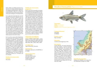 162 163
Vulnerable
Norte, indica un evidente proceso de re-
ducción en las tallas medias de captura de
esta especie, estadísticamente significati-
vo (ECOPETROL 1996). No se conoce de
evaluaciones más recientes, pero es de pre-
sumir que la sobrepesca no ha disminuido.
En la región del Catatumbo han ocurrido
procesos de deterioro ambiental aún no
analizados. De una parte, la cuenca ha
sido afectada en su porción media y alta
de Colombia, por los derrames de crudo
por atentados al Oleoducto Caño Limón
– Coveñas, y en la cuenca baja en el lago
de Maracaibo, se concentra la mayor parte
de la industria petrolera de Venezuela. De
otra, en territorio colombiano ha ocurrido
una fuerte deforestación para la extrac-
ción de maderas y el establecimiento de
una agricultura y ganadería de sustento,
junto con cultivos de coca y amapola. Todo
esto constituye un factor de riesgo adicio-
nal por deterioro ambiental para ésta y las
demás especies ícticas de la cuenca.
En el caso de la cuenca del río Ranchería,
la construcción de la represa El Cercado
fragmentó las población, interumpiendo
sus desplazamientos a lo largo del eje del
río. No obstante la importancia biológica
de esta especie y su alta vulnerabilidad a
la severa reducción de caudal aguas aba-
jo El Cercado, no se conocen estudios que
indiquen el efecto de este embalse sobre
esta especie, ni sobre las demás. Recien-
temente ha sido introducido a la cuenca
el bocachico del Magdalena (Prochilodus
madgalenae), en desarrollo de programas
de repoblamiento, con efectos sobre las
poblaciones nativas de P. reticulatus aún
no evaluados.
Medidas de conservación
tomadas
No existen.
Medidas de conservación
propuestas
Para la cuenca del Catatumbo se recomien-
da la implementación de medidas tendien-
tes a la protección del hábitat de esta espe-
cie, a la reglamentación de la actividad de
pesca comercial y de las tallas mínimas de
captura y comercialización. Se sugiere ade-
más adelantar estudios sobre la biología
de la especie, que incluyan la evaluación y
seguimiento de los “stocks” de pesca. Por
ser una cuenca compartida con Venezue-
la, es necesaria la concertación binacional
de las medidas de protección, regulación y
control. Para el caso del río Ranchería se
propone realizar estudios que involucren
estimas poblacionales y de variabilidad
genética con marcadores moleculares, a
fin de establecer el efecto de la introduc-
ción del bocachico del Magdalena. Igual-
mente y por la construcción de la represa
El Cercado, es urgente establecer medidas
para la restauración de su hábitat.
Colecciones con registros
confirmados de la especie
Sintipos MNHN A.8637, 8638, A.8639,
8640. Otras: IAvH-P 50, 3083, 3476; ICN
1657, 2137, 8759, 8804, 8874, 9612, 9622,
9683, 9825, 9841, 11624, 11661, 11685.
Localidad tipo
Lago de Maracaibo, Venezuela.
Comentarios
Información adicional en ECOPETROL et
al. (1996).
Autores de la ficha
José Iván Mojica,
José Saulo Usma Oviedo,
Armando Ortega-Lara,
Claudia Castellanos y
Lucena Vásquez
Taxonomía
Orden: Characiformes
Familia: Curimatidae
Especie: Pseudocurimata patiae (Eigenmann 1914)
Pseudocurimata patiae (Eigenmann 1914)
Categoría Nacional
Vulnerable
VU B2b(iii)
Nombre común
Nayo (río Patía).
Sinonimia
Curimatus patiae Eigenmann 1914
Descripción
Cuerpo plateado, con puntos laterales di-
fusos que tienden a juntarse formando
líneas longitudinales. Una mancha lige-
ramente alargada horizontalmente en
el pedúnculo caudal (Eigenmann 1914,
1922, Vari 1989). Boca terminal, el labio
superior más grueso que el inferior; línea
lateral completa. Aleta anal con 9 radios;
dorsal 11 o 12 radios; escamas pequeñas,
en la línea lateral 42 a 47. Esta especie es
similar a P. lineopunctata, pero se diferen-
cia por el mayor número de escamas en la
línea lateral en esta última (33 a 41 esca-
mas) (Vari 1989).
Distribución geográfica
Endémica de Colombia, en la cuenca Pací-
fico (Maldonado-Ocampo et al. 2008).
 
