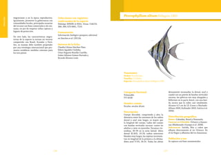 176 177
Vulnerable
migraciones y en la época reproductiva.
Igualmente, promover la gobernanza con
comunidades locales, principales usuarias
del recurso con fines comerciales y de con-
sumo, en pro de respetar tallas captura y
lugares de protección.
De otro lado, las características migra-
torias de la especie la tornan un recurso
compartido con Brasil, Ecuador y Perú.
Así, su manejo debe también propender
por una estrategia internacional que pro-
mueva establecer medidas comunes para
los tres países.
Colecciones con registros
confirmados de la especie
Holotipo MNHN A-9354. Otras: CIACOL
388, 389; ICN 6861, 7219.
Comentarios
Información biológico-pesquera adicional
en Sánchez et al. (2011b).
Autores de la ficha
Claudia Liliana Sánchez-Páez,
Edwin Agudelo Córdoba,
César Augusto Bonilla-Castillo,
Guber Alfonso Gómez Hurtado y
Ricardo Álvarez-León
Taxonomía
Orden: Perciformes
Familia: Cichlidae
Especie: Pterophyllum altum Pellegrin 1903
Pterophyllum altumPellegrin 1903
Categoría Nacional
Vulnerable
VU (A2d)
Nombre común
Escalar, escalar altum.
Descripción
Cuerpo discoidal, comprimido y alto; la
distancia entre los extremos de los radios
dorsal y anal más largos, es mayor que
la longitud del cuerpo. Lados del cuerpo
con bandas verticales oscuras: cuatro en
adultos y siete en juveniles. Escamas cte-
noideas, 30-39 en la serie lateral. Aleta
dorsal XI-XIII, 23-29; radios anteriores
blandos muy largos, las espinas incremen-
tan en longitud de la primera a la última.
Aleta anal V-VII, 24-31. Todas las aletas
densamente escamadas; la dorsal, anal y
caudal con un patrón de bandas verticales
oscuras, las pélvicas son muy alargadas y
filiformes en la parte distal, con una ban-
da oscura que la cubre casi totalmente.
Alcanza 6,5 cm de LE (Lasso y Machado-
Allison 2000, Kullander 2003, Galvis et al.
2006).
Distribución geográfica
Países: Colombia, Brasil y Venezuela.
Cuencas en Colombia: Orinoco y Amazo-
nas (Maldonado-Ocampo et al. 2008).
Subcuencas: Inírida, Bita y caños que
afluyen directamente al río Orinoco. En
el río Negro y afluentes del río Amazonas.
Población y uso
Se captura con fines ornamentales.
 