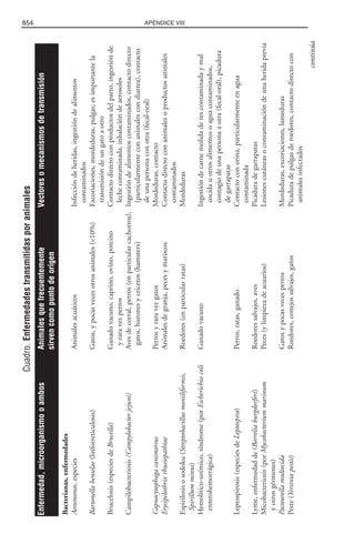 Libro rojo pediatria 