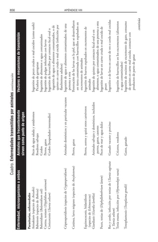 Libro rojo pediatria 