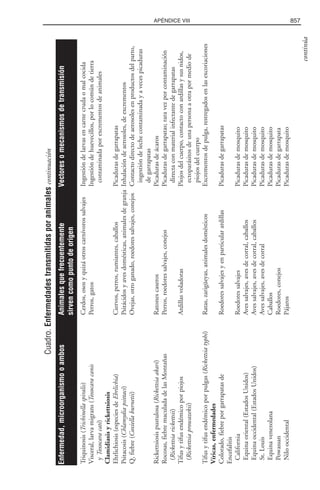 Libro rojo pediatria 