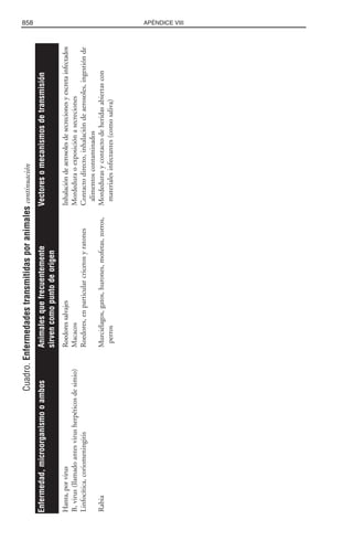 Libro rojo pediatria 