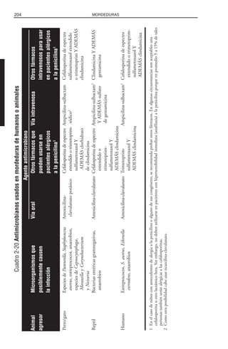 204 MORDEDURAS
Cuadro2-20.Antimicrobianosusadosenmordedurasdehumanosoanimales
Perro/gatoEspeciesdePasteurella,StaphylococcusAmoxicilina-CefalosporinadeespectroAmpicilina-sulbactamCefalosporinadeespectro
aureus,estreptococos,anaerobios,clavulanatopotásicoextendidootrimetoprim-sódico2
sulfametoxazolextendido
especiesdeCapnocytophaga,sulfametoxazolYotrimetoprimYADEMÁS
MoraxellayCorynebacteriumADEMÁSclorhidratoclindamicina
yNeisseriadeclindamicina
ReptilBacteriasentéricasgramnegativas,Amoxicilina-clavulanatoCefalosporinadeespectroAmpicilina-sulbactam2
ClindamicinaYADEMÁS
anaerobiosextendidooYADEMÁSsulfatogentamicina
trimetoprim-degentamicina
sulfametoxazolY
ADEMÁSclindamicina
HumanoEstreptococos,S.aureus,EikenellaAmoxicilina-clavulanatoTrimetoprim-Ampicilina-sulbactam2
Cefalosporinadeespectro
corrodens,anaerobiossulfametoxazolYextendidootrimetoprim-
ADEMÁSclindamicinasulfametoxazolY
ADEMÁSclindamicina
1Enelcasodeniñosconantecedentesdealergiaalapenicilinaoalgunodesuscongéneres,serecomiendaprobarotrosfármacos.Enalgunascircunstanciassonaceptablesuna
cefalosporinauotrolactámicobeta.Sinembargo,nodebenutilizarseenpacientesconhipersensibilidadinmediata(anafilaxia)alapenicilinaporqueenpromedio5a15%detales
personastambiénseránalérgicasalascefalosporinas.
2Comootraposibilidadcabeusarticarcilina-clavulanato.
Agenteantimicrobiano
AnimalMicroorganismosqueVíaoralOtrosfármacosqueVíaintravenosaOtrosfármacos
agresorposiblementecausenpuedenusarseenintravenososparausar
lainfecciónpacientesalérgicosenpacientesalérgicos
alapenicilina1
alapenicilina1
 
