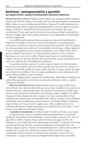 Amibianas, meningoencefalitis y queratitis
(por Naegleria fowleri, especies de Acanthamoeba y Balamuthia mandrillaris)
MANIFESTACIONES CLÍNICAS: Naegleria fowleri origina una meningoencefalitis amibiana
primaria, de evolución rápida y casi siempre letal. Los síntomas incipientes comprenden
fiebre, cefalea y a veces perturbaciones del olfato y el gusto. El cuadro evoluciona con
rapidez hasta que aparecen signos de meningoencefalitis, como son rigidez de la nuca,
letargia, confusión y alteración del nivel de conciencia. Es frecuente que surjan
convulsiones. El niño suele morir en término de una semana de haber comenzado los
síntomas. Ningún signo clínico peculiar diferencia a esta enfermedad, de la meningitis
bacteriana fulminante.
La encefalitis amibiana granulomatosa causada por especies de Acanthamoeba y
Balamuthia mandrillaris comienza de manera más insidiosa y sus manifestaciones
evolucionan en término de semanas a meses después de la exposición. Entre los signos y
los síntomas pueden estar cambios de la personalidad, convulsiones, cefaleas, rigidez de
la nuca, ataxia, parálisis de pares craneales, hemiparesia y otros déficit focales. Suele
aparecer febrícula intermitente. La evolución puede asemejarse a la de un absceso
bacteriano o un tumor en el encéfalo. Pueden surgir lesiones en la piel (pústulas,
nódulos, úlceras) sin que haya afección del sistema nervioso central, particularmente en
sujetos con síndrome de inmunodeficiencia adquirida.
La queratitis amibiana, que por lo común surge por especies de Acanthamoeba y
rara vez por otras especies, afecta más bien a personas que usan lentes de contacto y se
asemeja a la queratitis causada por herpes simple, bacterias u hongos, excepto que sigue
una evolución más indolente. Entre sus signos predominantes están inflamación de la
córnea, dolor, fotofobia y uveítis secundaria.
CAUSAS: Naegleria fowleri, especies de Acanthamoeba y Balamuthia mandrillaris son
amibas libres que aparecen en la forma de trofozoítos infectantes móviles, y quistes
resistentes al ambiente.
ASPECTOS EPIDEMIOLÓGICOS: Naegleria fowleri aparece en agua potable tibia y
tierra húmeda. Casi todas las infecciones que causa se han vinculado con la natación en
cúmulos naturales y tibios de agua, pero otros puntos de contacto han incluido agua
corriente, agua de piscinas contaminada y mal clorada, y baños. También se ha sabido
de pequeños brotes después de nadar en aguas de un lago o piscina tibios. Se han
notificado unos cuantos casos sin antecedentes del contacto con agua. Se ha señalado la
enfermedad a nivel mundial, pero es poco frecuente. En Estados Unidos, la infección
surge más bien en el verano y por lo regular ataca a niños y adultos jóvenes. Los
trofozoítos del parásito invaden directamente el encéfalo desde las vías nasales, a través
de los nervios olfatorios en la lámina cribosa.
El periodo de incubación de la infección por N. fowleri va de días a una semana.
Los gérmenes que causan la encefalitis amibiana granulomatosa y en particular
especies de Acanthamoeba están distribuidos a nivel mundial y aparecen en la tierra, el
agua dulce y salobre, el polvo, el agua caliente de tinas y las aguas servidas. Sin
embargo, no se ha aislado del entorno Balamuthia mandrillaris. La infección del sistema
nervioso central surge más bien en personas debilitadas e inmunodeficientes. No
obstante, algunos sujetos no tienen una enfermedad primaria o defecto demostrable. El
contagio tal vez se hace por inhalación o contacto directo con tierra o agua
contaminados. El foco primario de infección muy a menudo es la piel o las vías
respiratorias, y le sigue en frecuencia la propagación hematógena hasta el encéfalo.
210 AMIBIANAS, MENINGOENCEFALITIS Y QUERATITIS
 