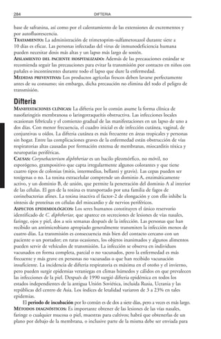 Libro rojo pediatria 