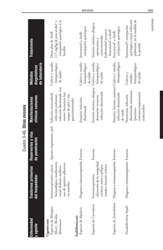 Libro rojo pediatria 