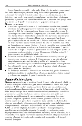 Libro rojo pediatria 