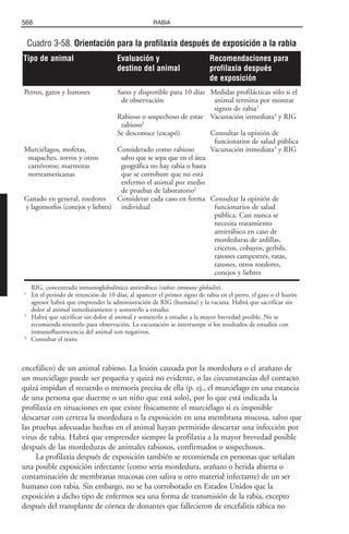 Libro rojo pediatria 