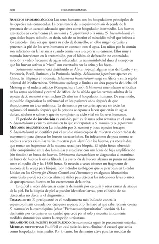 Libro rojo pediatria 