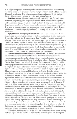 Libro rojo pediatria 