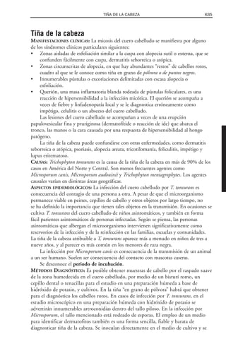 Libro rojo pediatria 