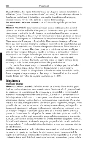 Libro rojo pediatria 