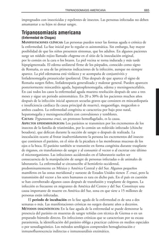 Libro rojo pediatria 