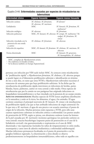 Libro rojo pediatria 