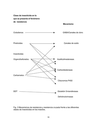 TOXICIDAD Y RESISTENCIA A PESTICIDAS EN Drosophila melanogaster