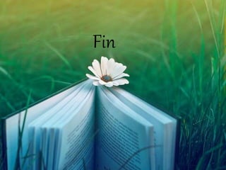 Fin
 