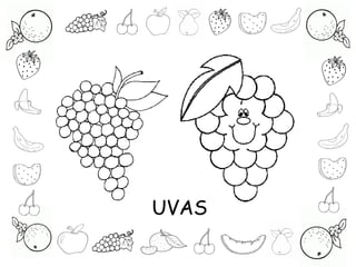 UVAS
 